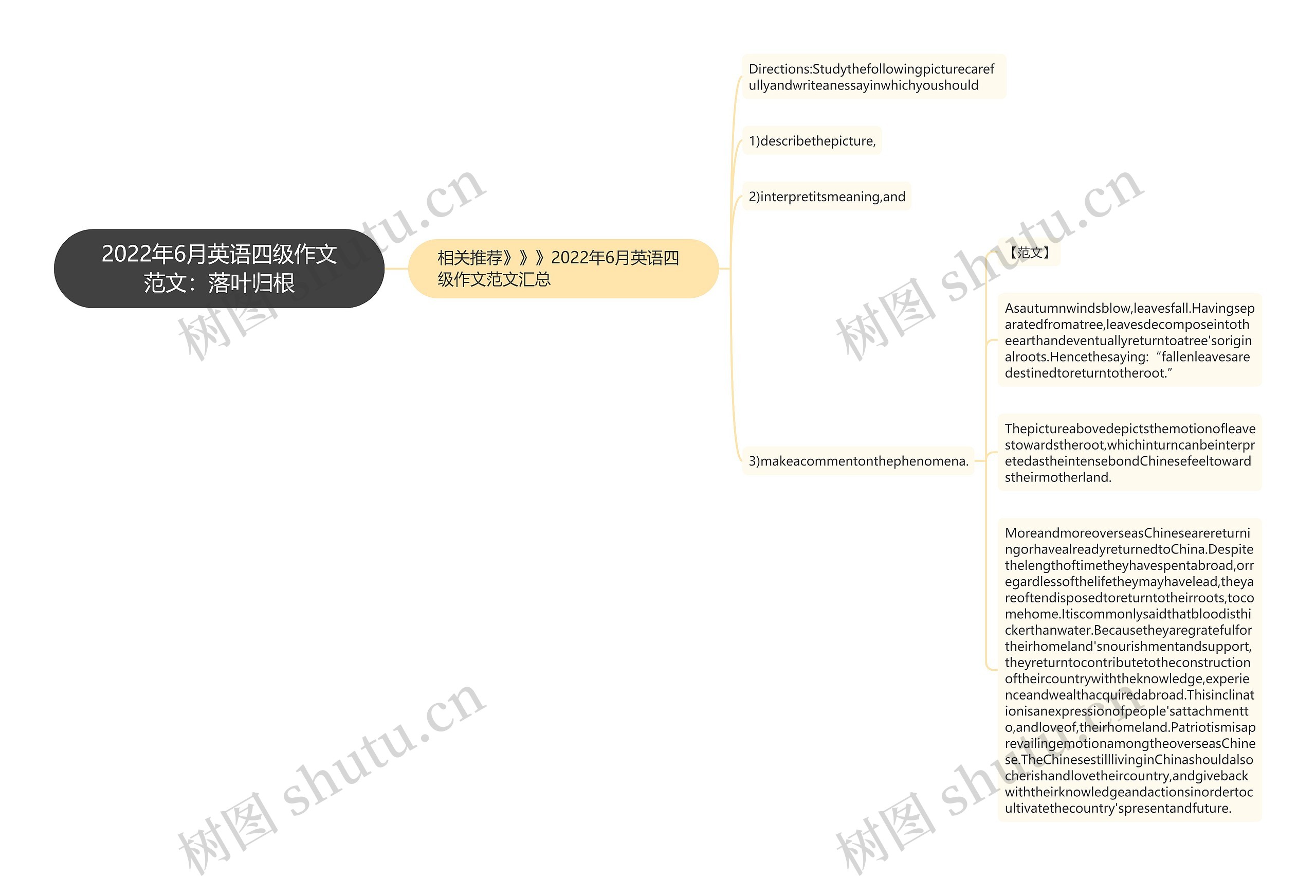 2022年6月英语四级作文范文：落叶归根思维导图