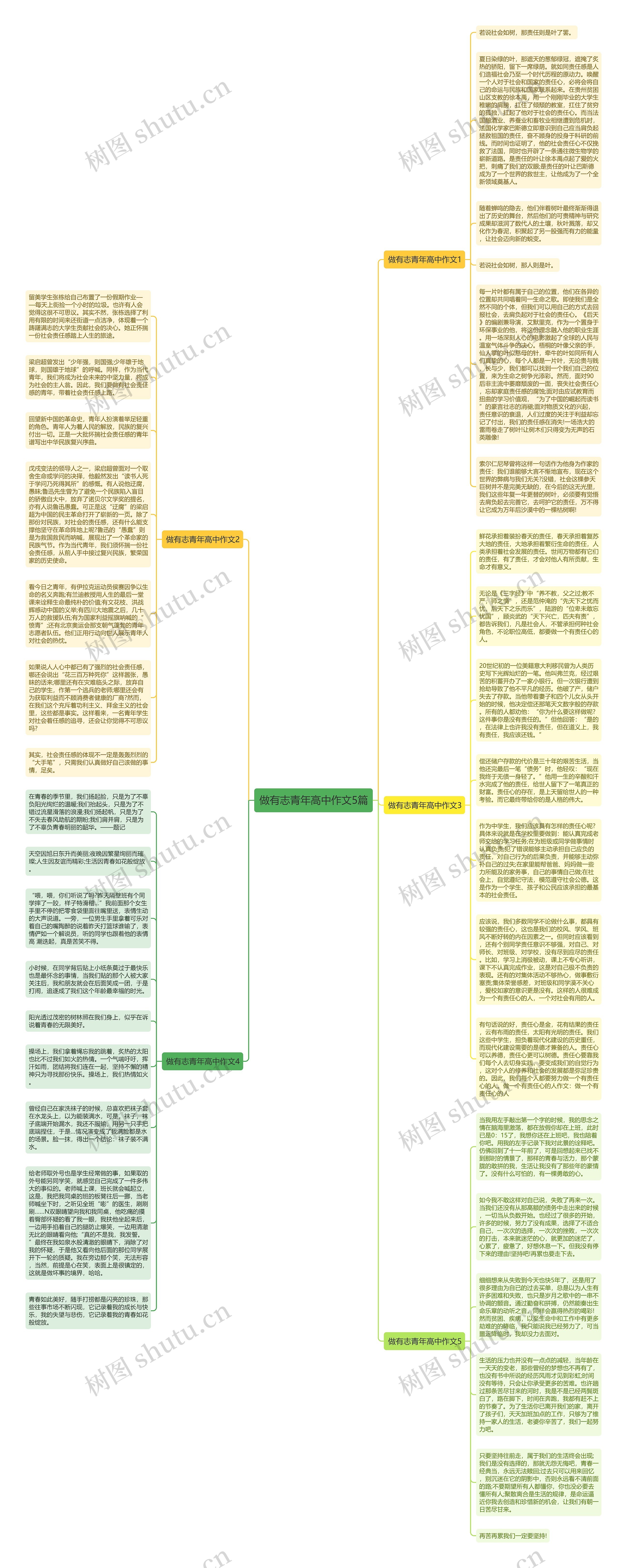 做有志青年高中作文5篇思维导图