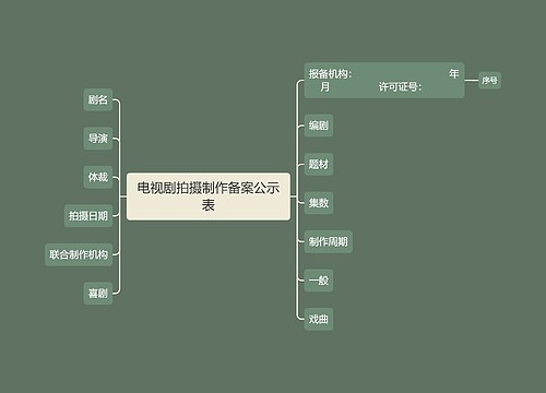 电视剧拍摄制作备案公示表