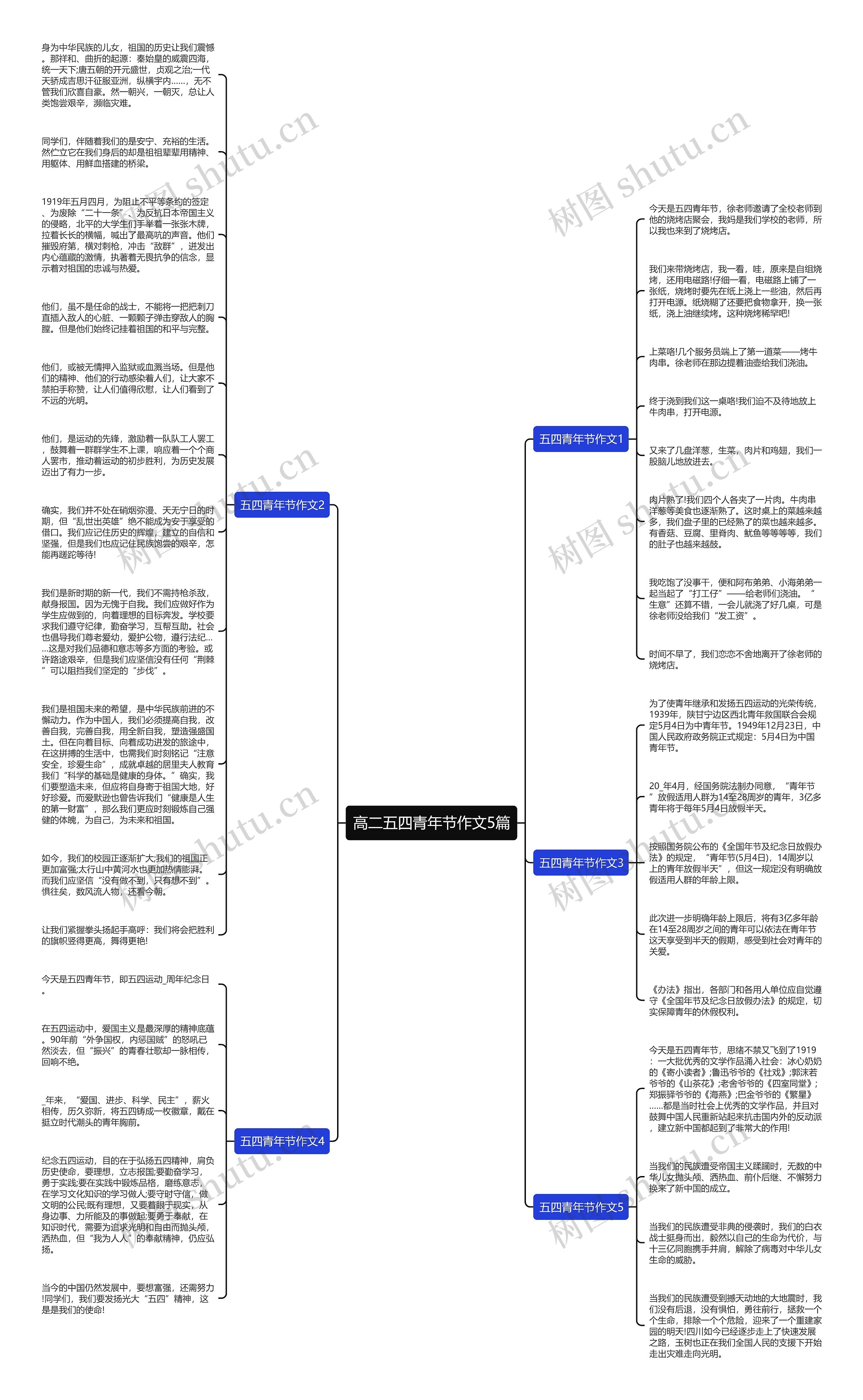 高二五四青年节作文5篇思维导图