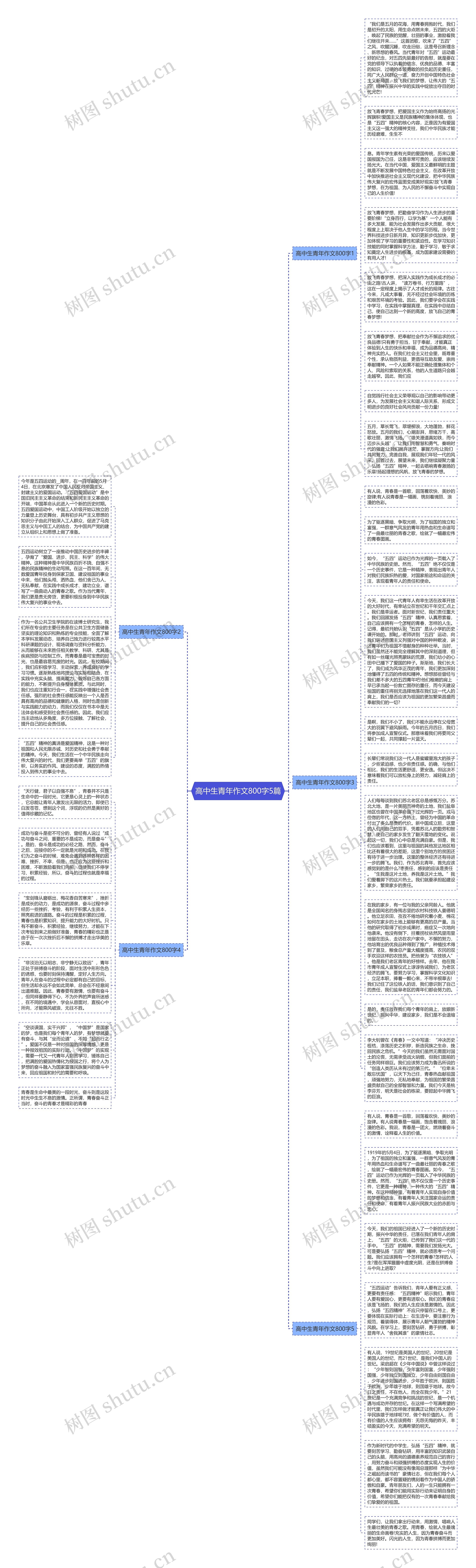 高中生青年作文800字5篇思维导图