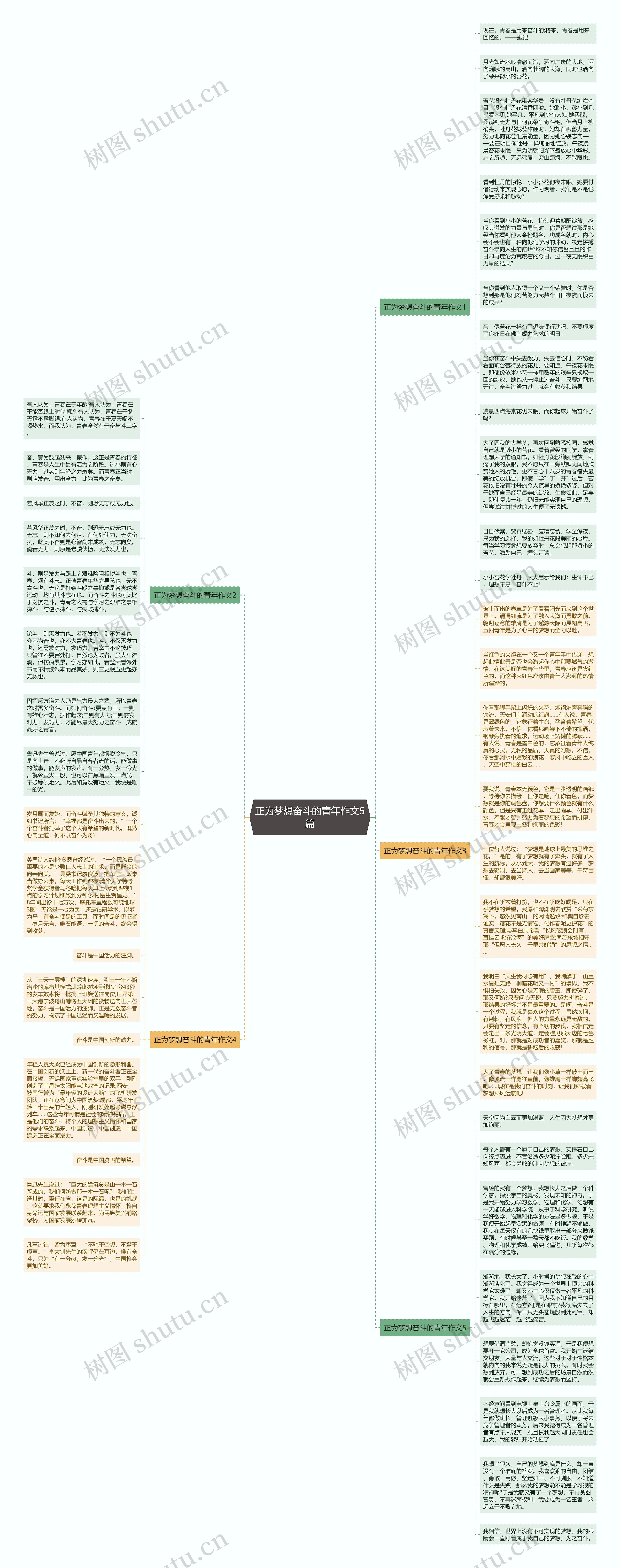 正为梦想奋斗的青年作文5篇思维导图