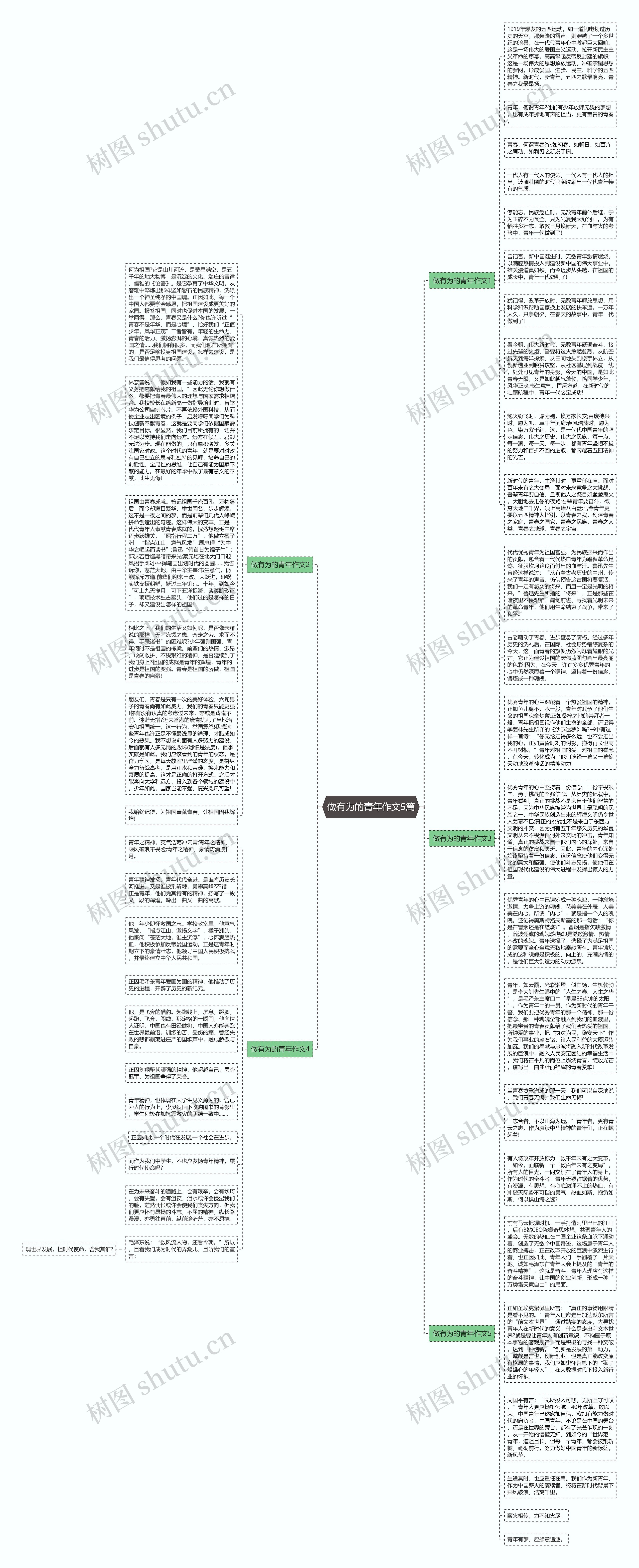 做有为的青年作文5篇思维导图