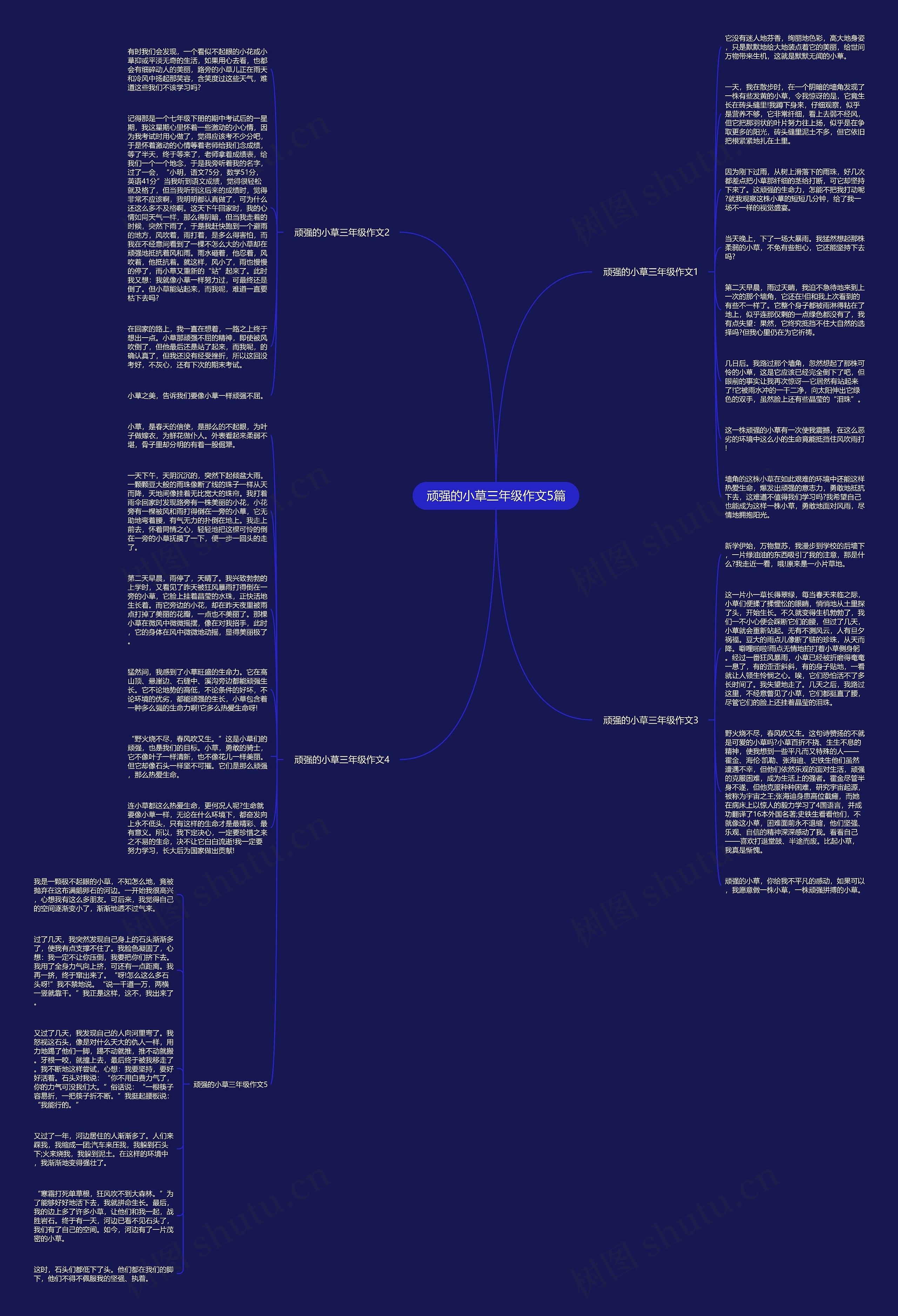 顽强的小草三年级作文5篇思维导图