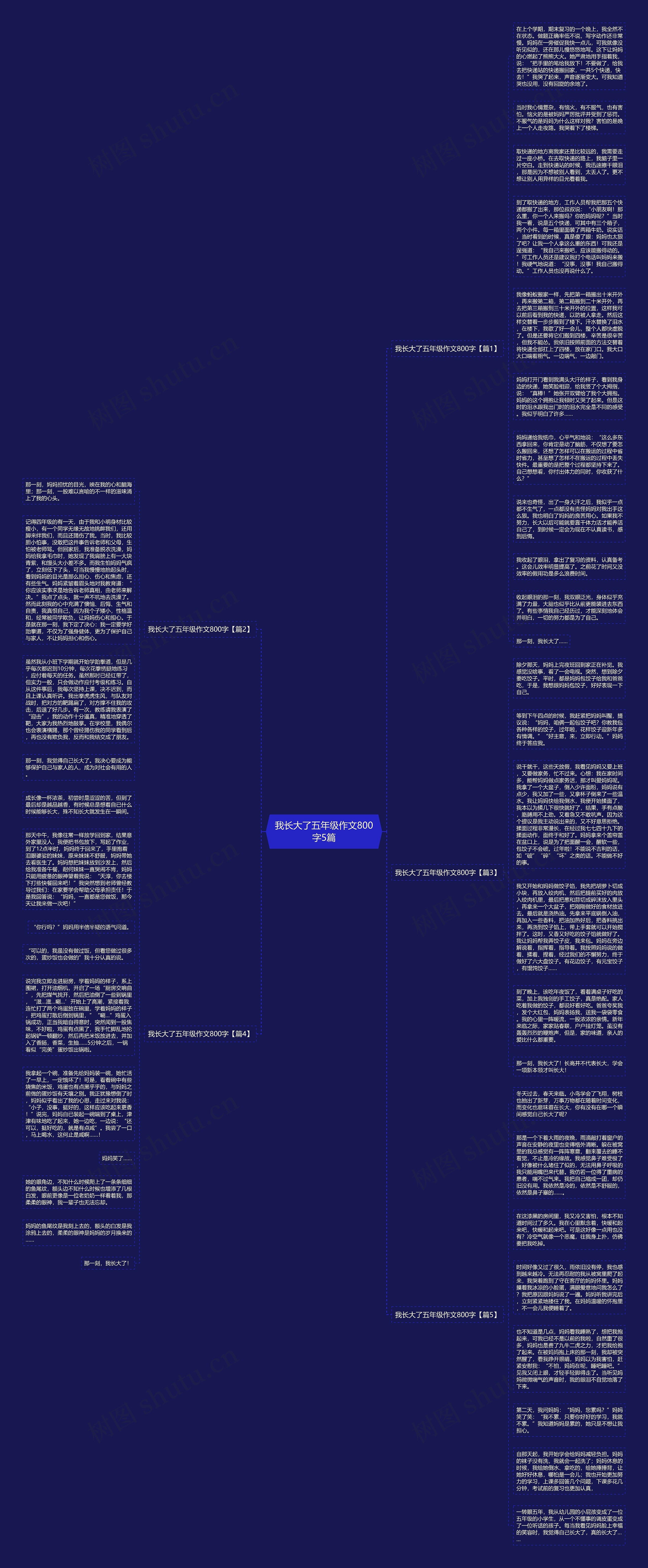 我长大了五年级作文800字5篇思维导图