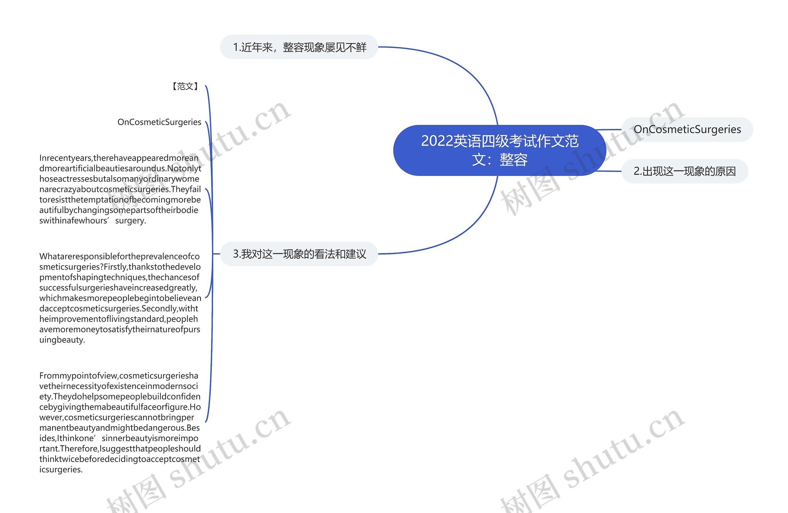 2022英语四级考试作文范文：整容