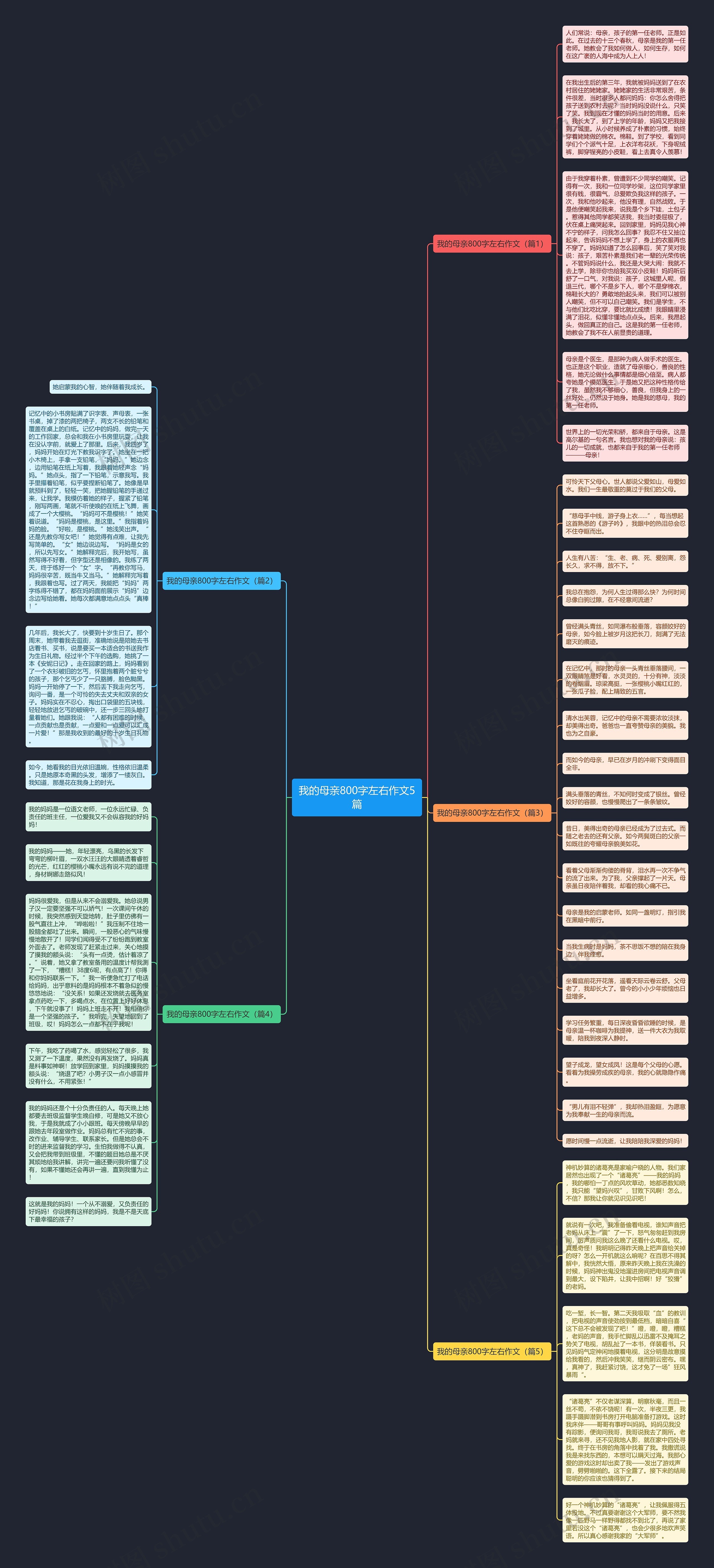 我的母亲800字左右作文5篇思维导图