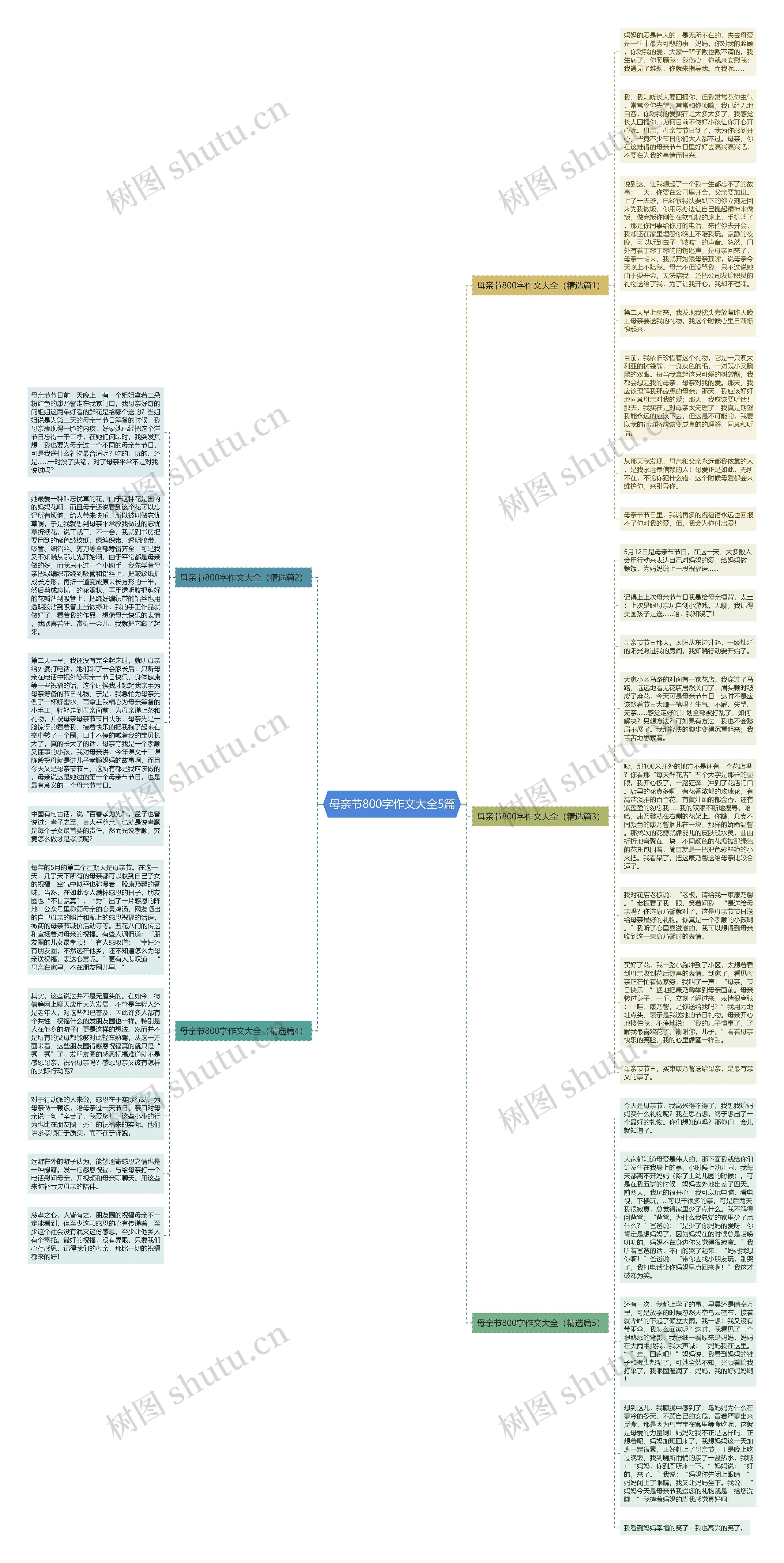 母亲节800字作文大全5篇思维导图
