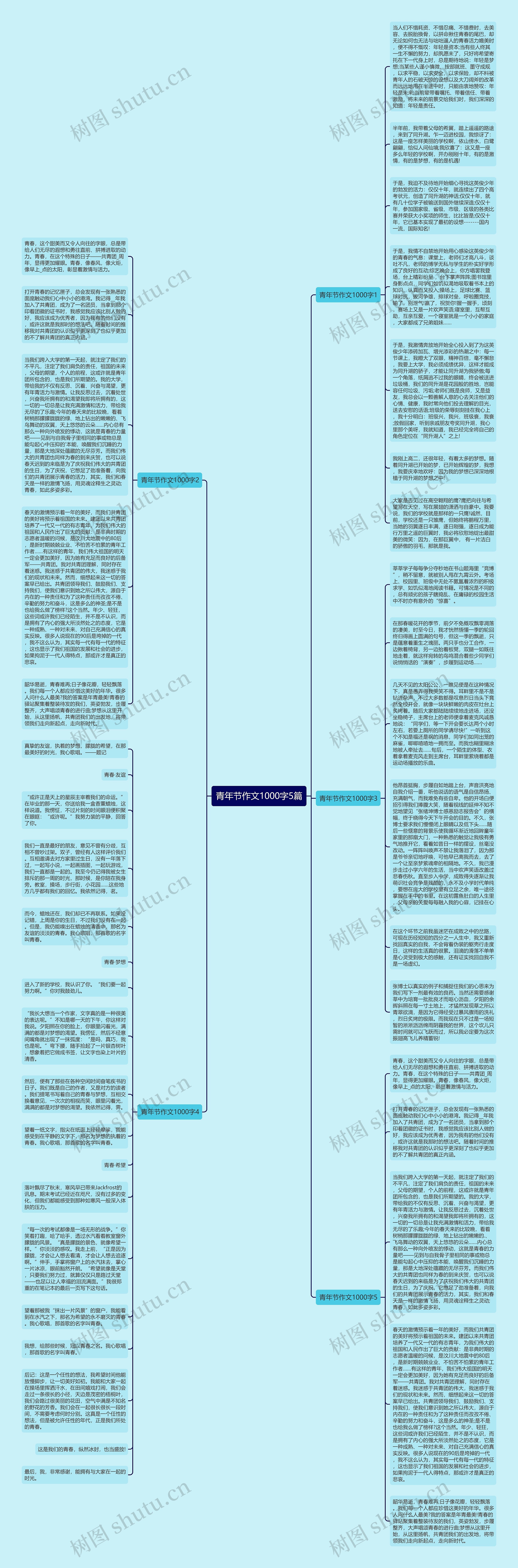 青年节作文1000字5篇思维导图