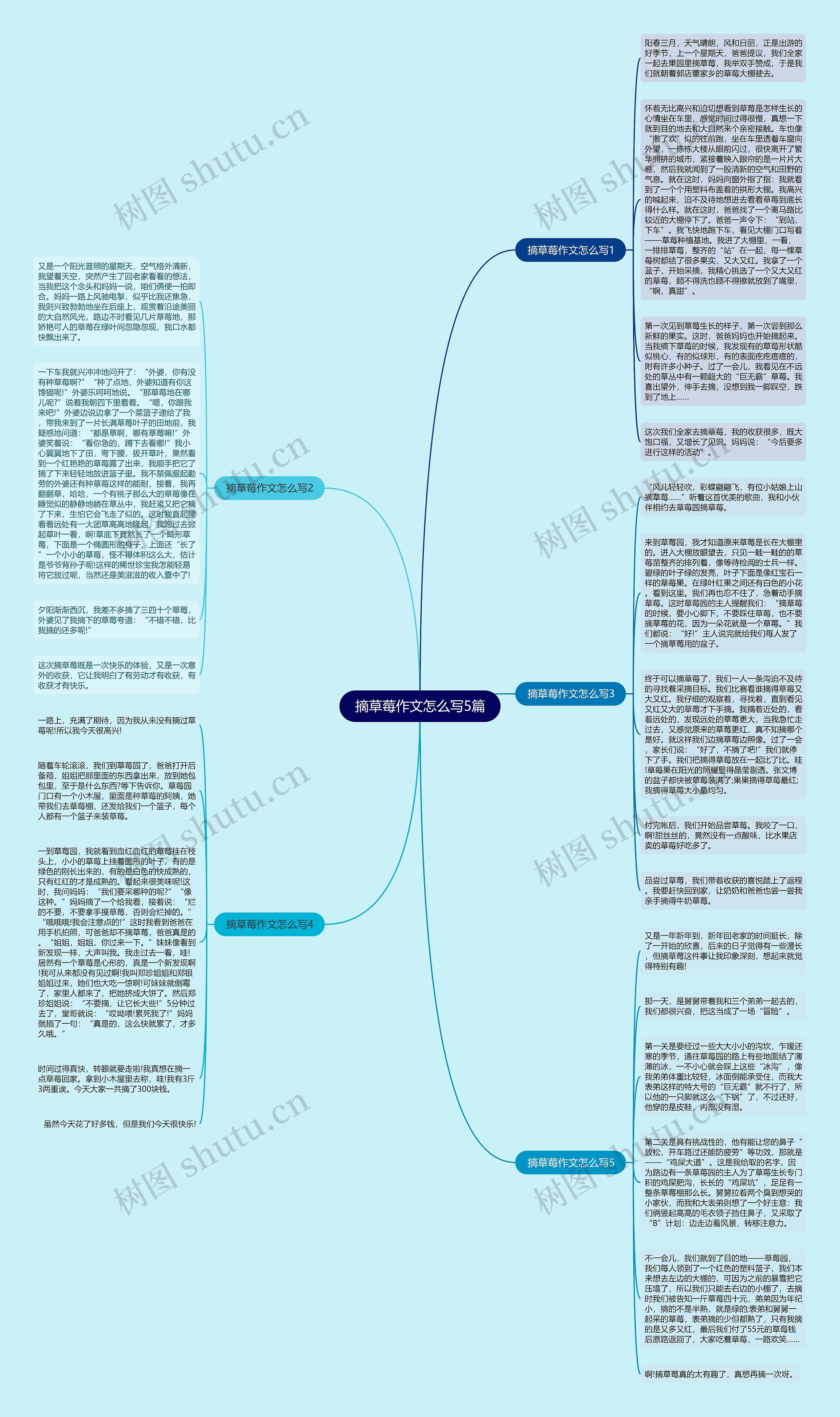 摘草莓作文怎么写5篇思维导图