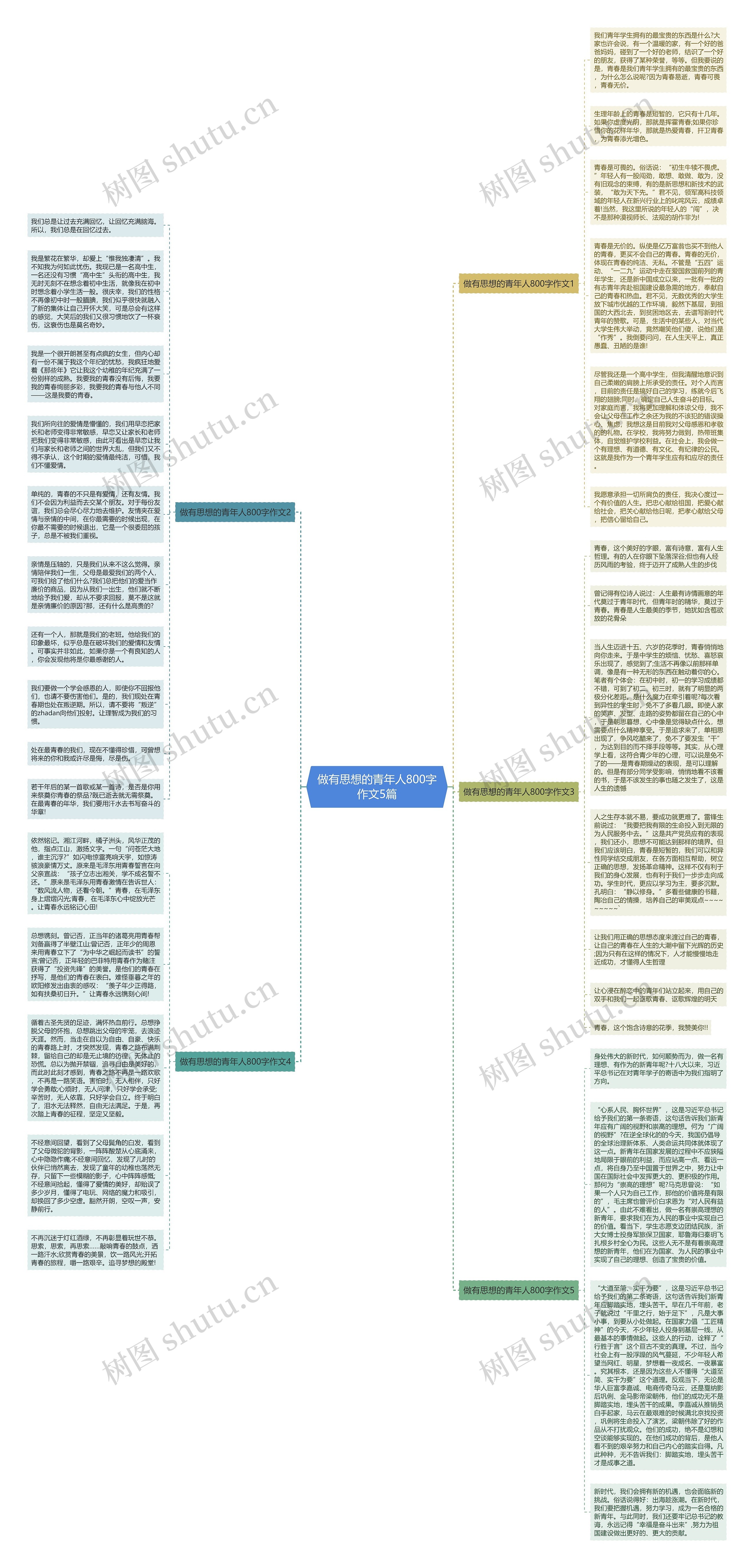 做有思想的青年人800字作文5篇思维导图