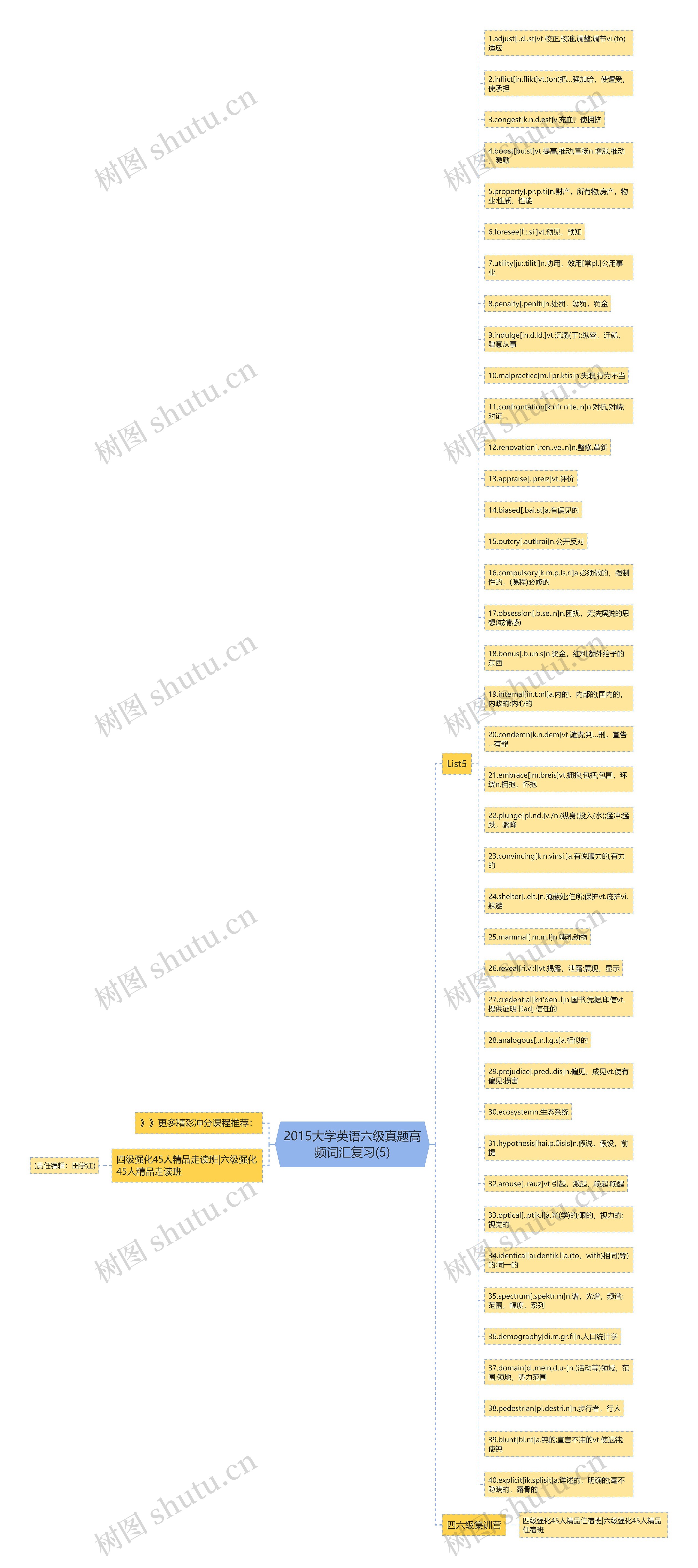 2015大学英语六级真题高频词汇复习(5)思维导图