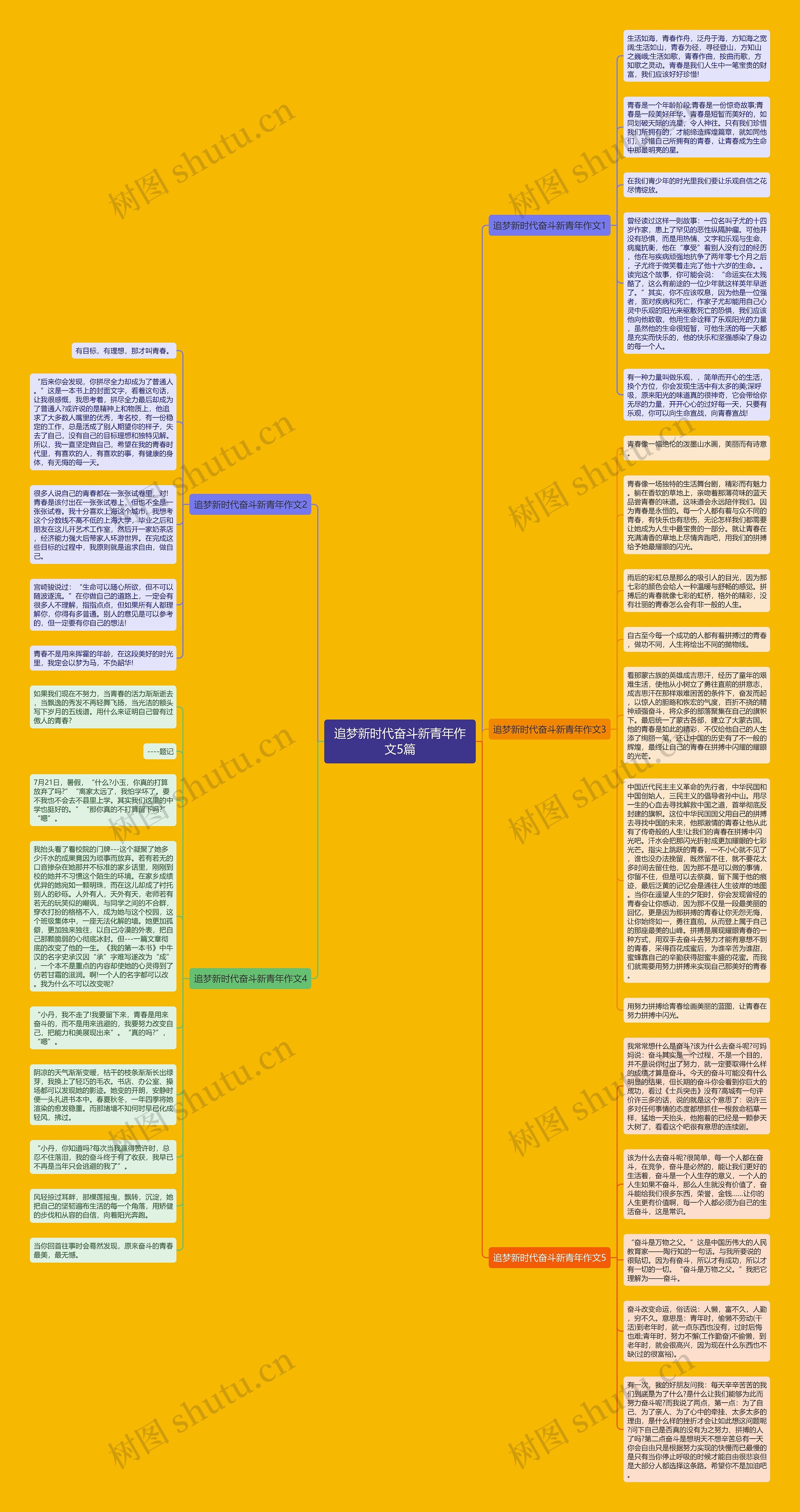追梦新时代奋斗新青年作文5篇思维导图
