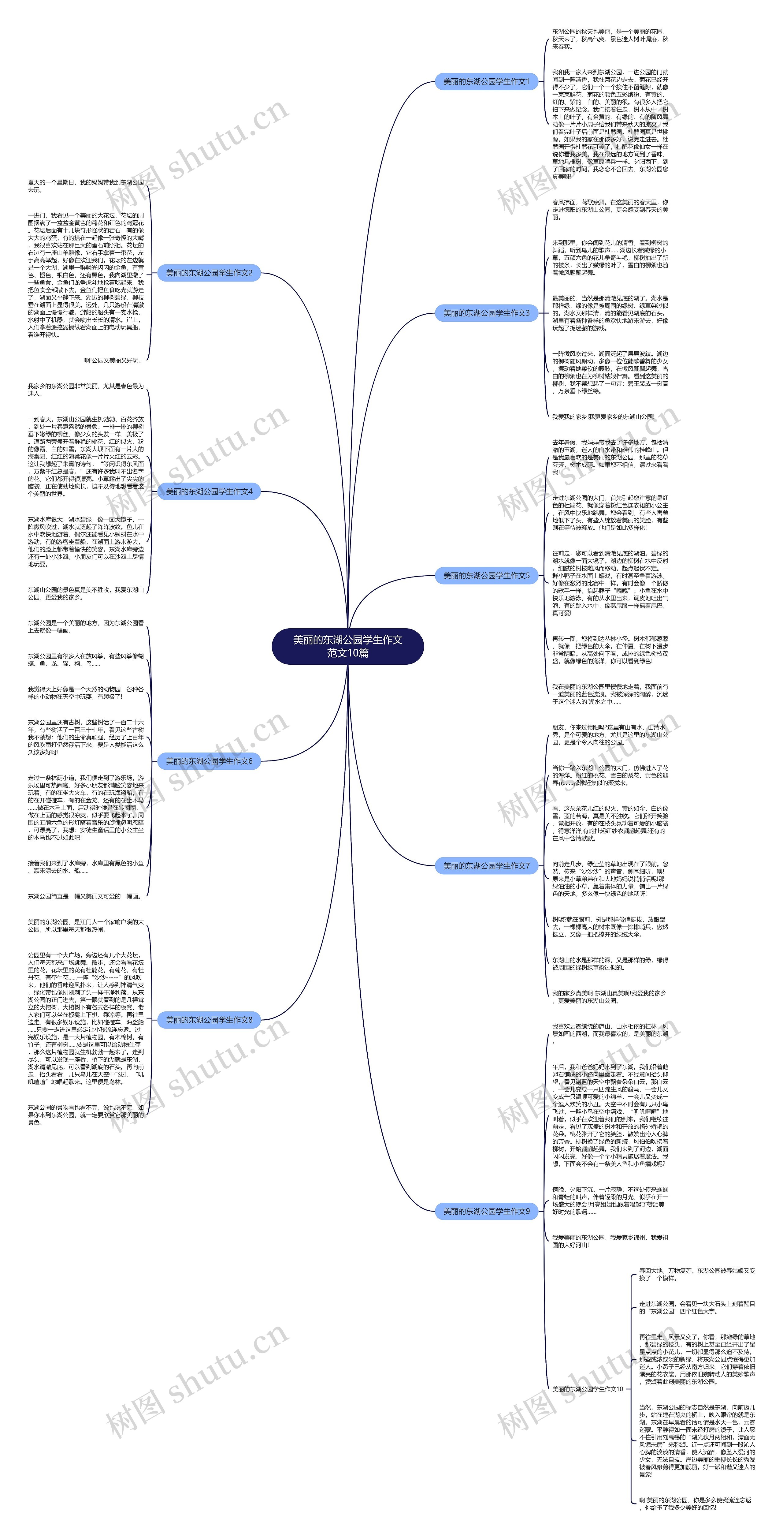 美丽的东湖公园学生作文范文10篇思维导图