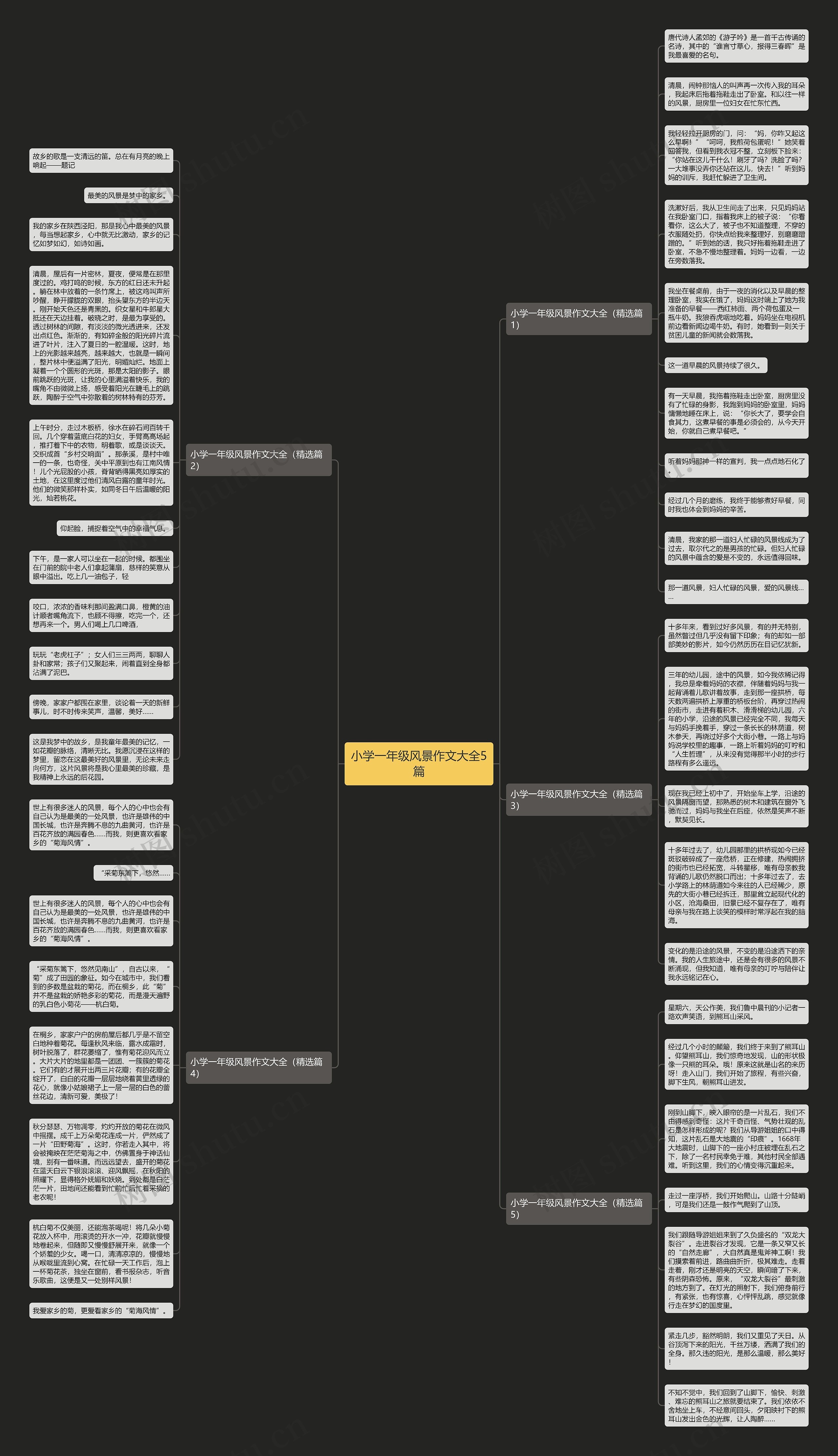 小学一年级风景作文大全5篇思维导图
