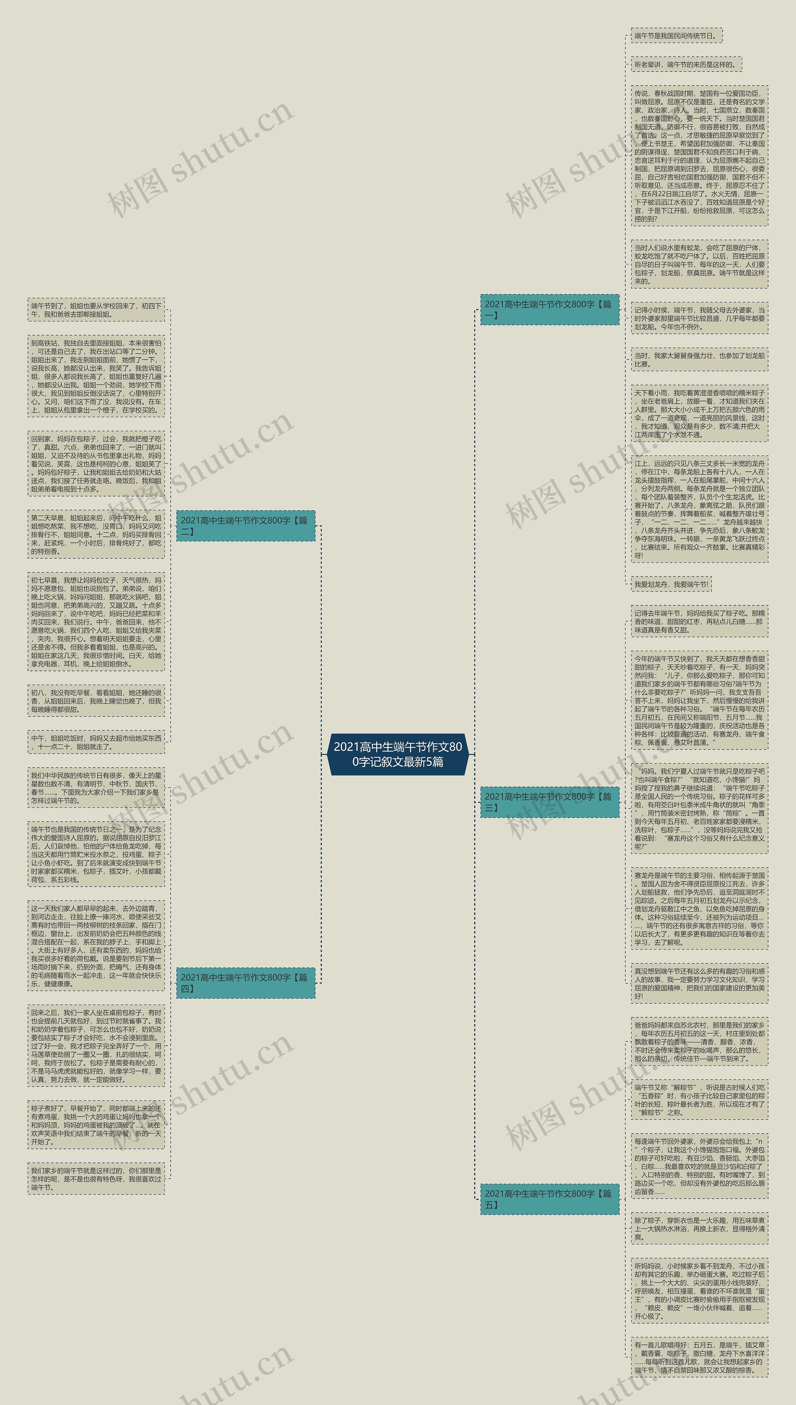 2021高中生端午节作文800字记叙文最新5篇思维导图