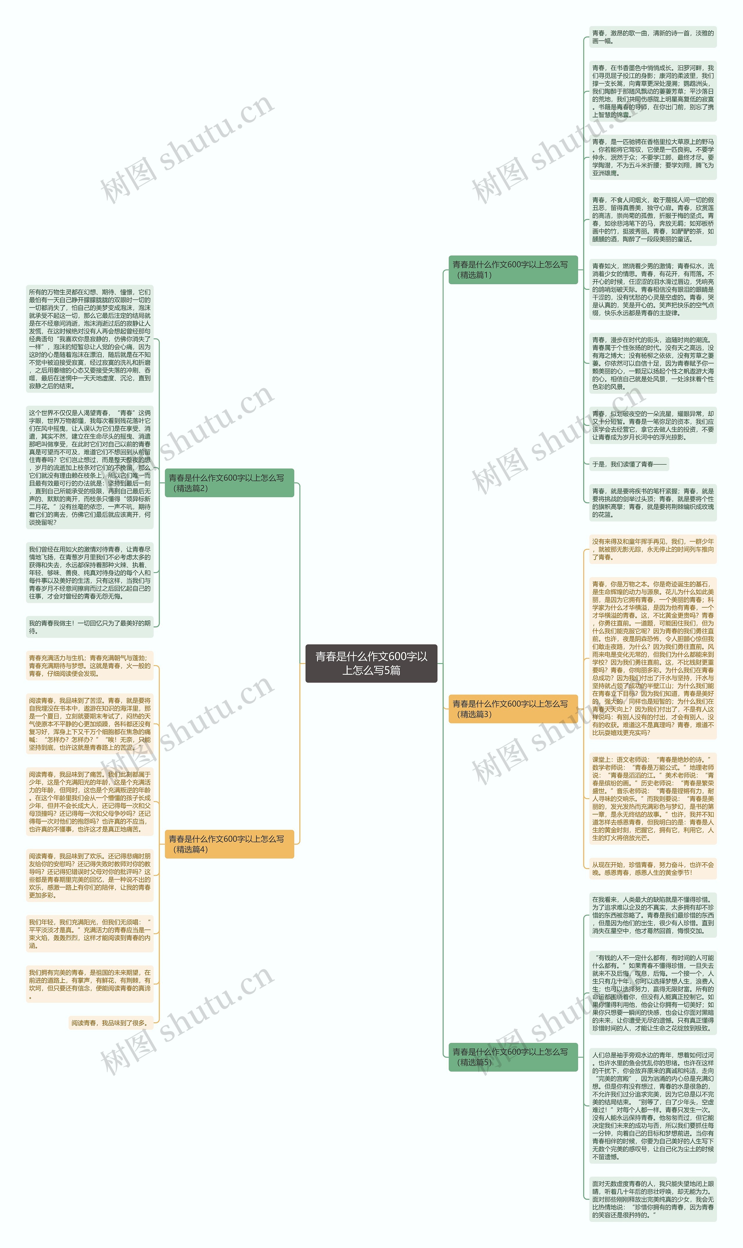 青春是什么作文600字以上怎么写5篇思维导图