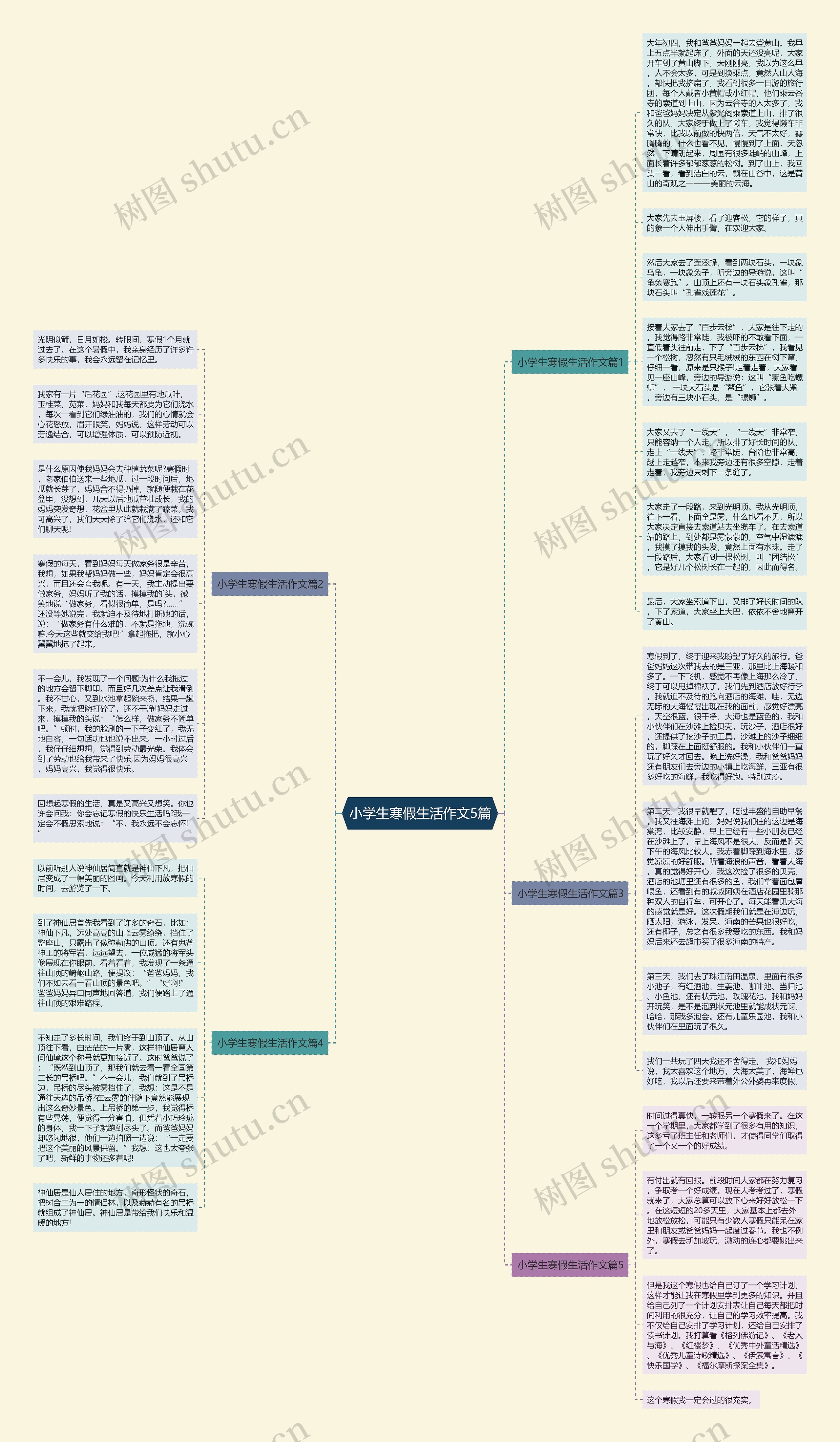 小学生寒假生活作文5篇思维导图