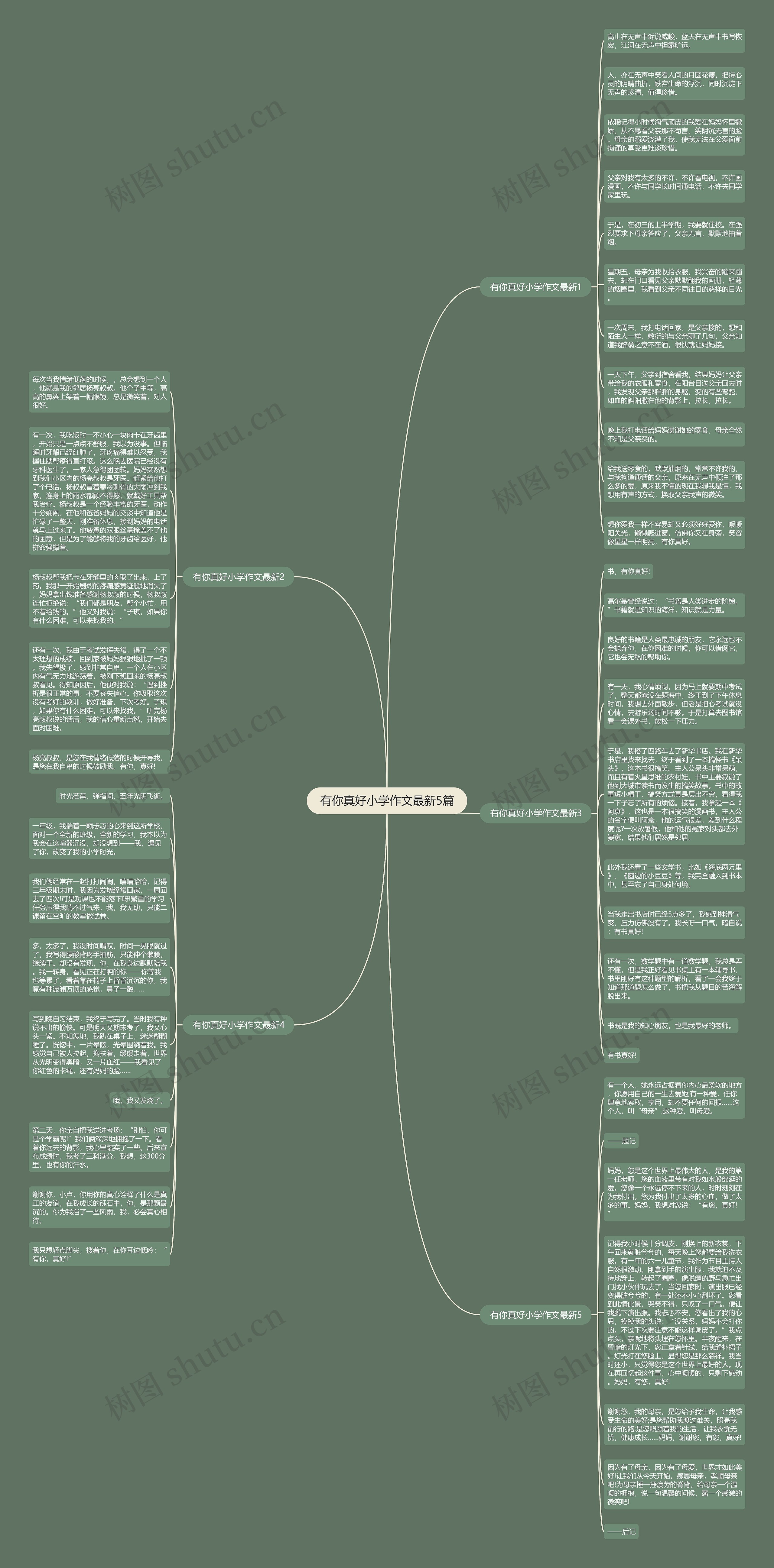 有你真好小学作文最新5篇思维导图