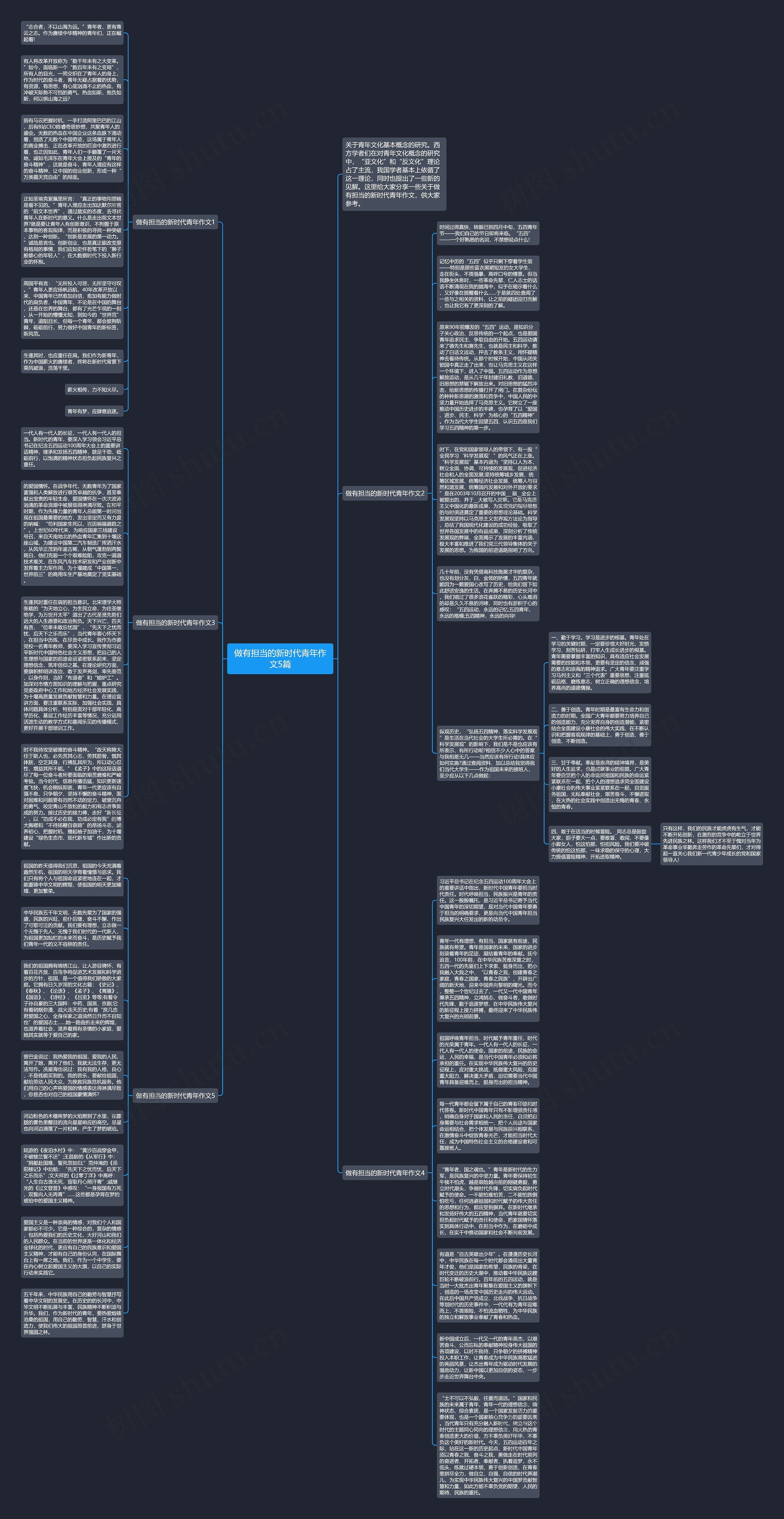 做有担当的新时代青年作文5篇思维导图