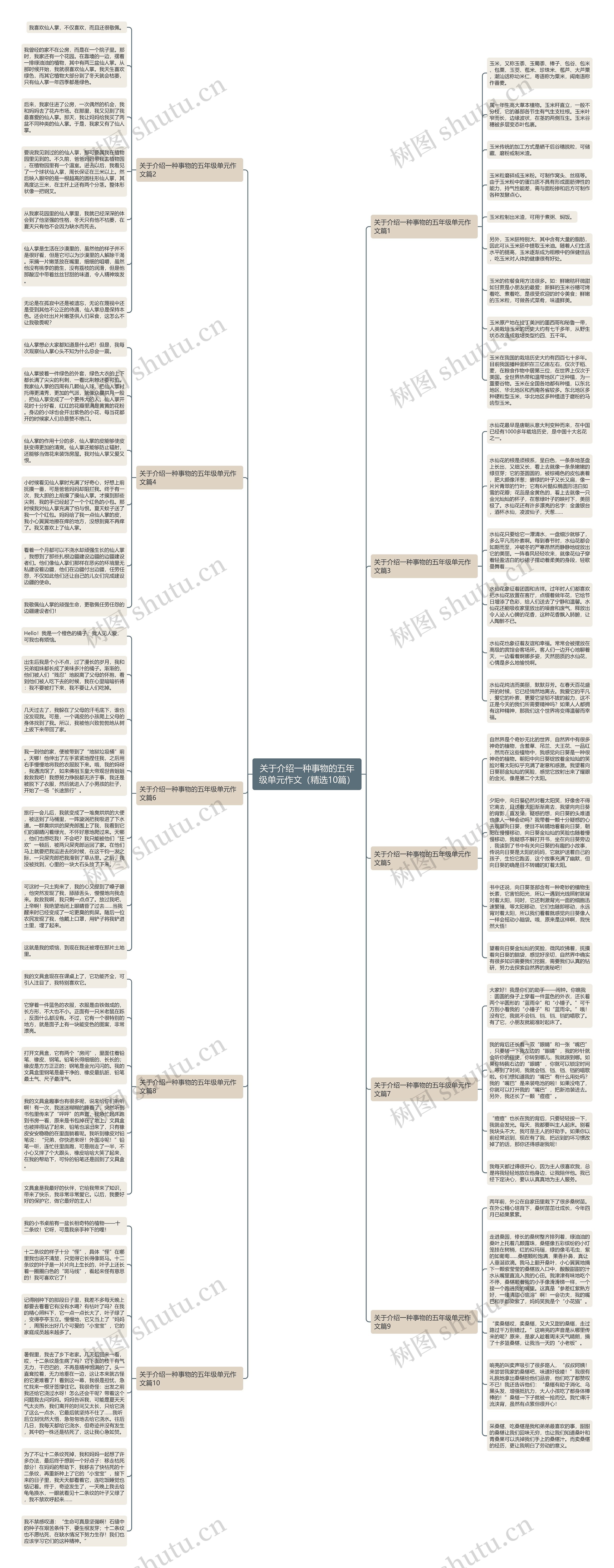 关于介绍一种事物的五年级单元作文（精选10篇）思维导图