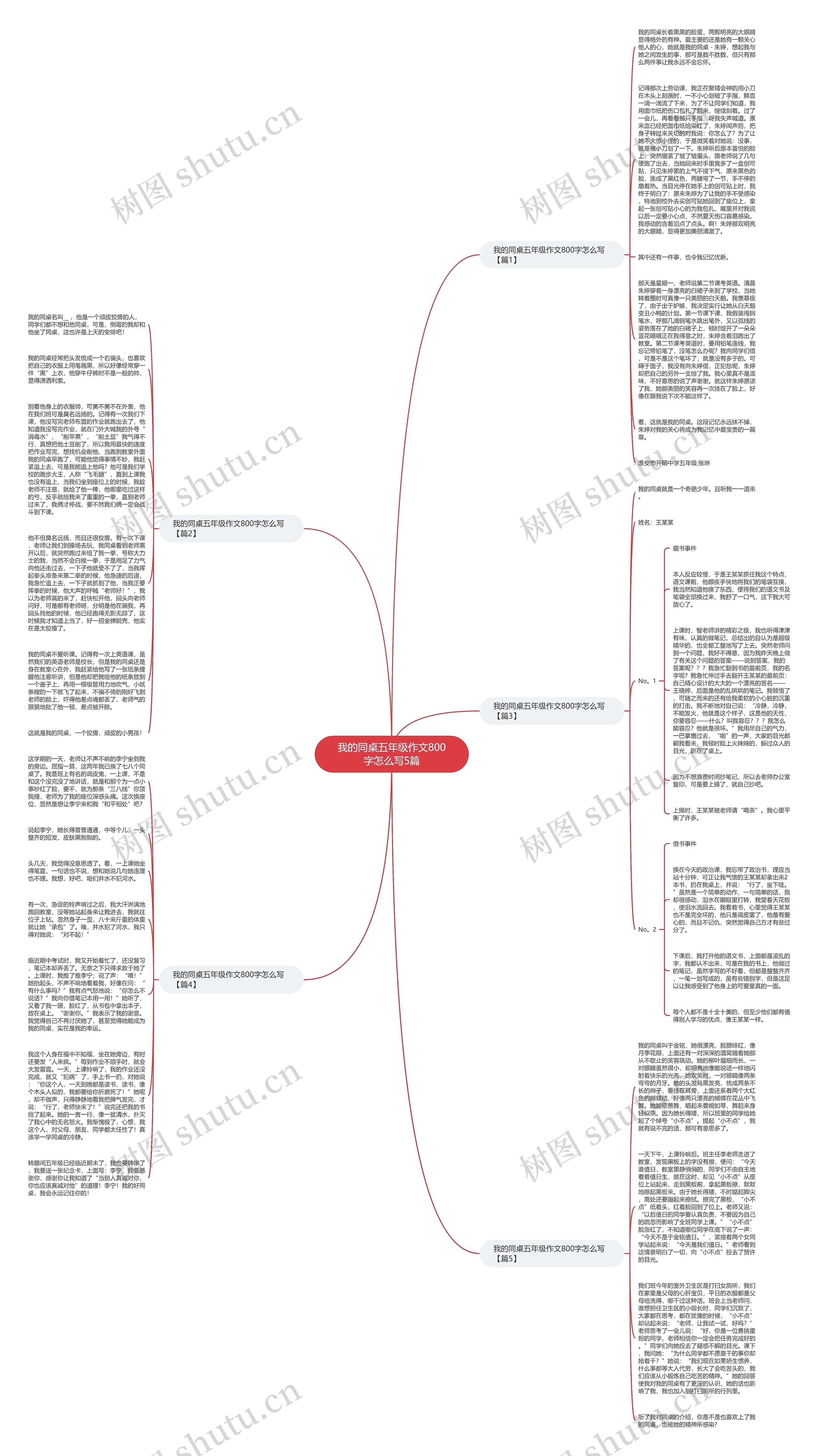 我的同桌五年级作文800字怎么写5篇思维导图