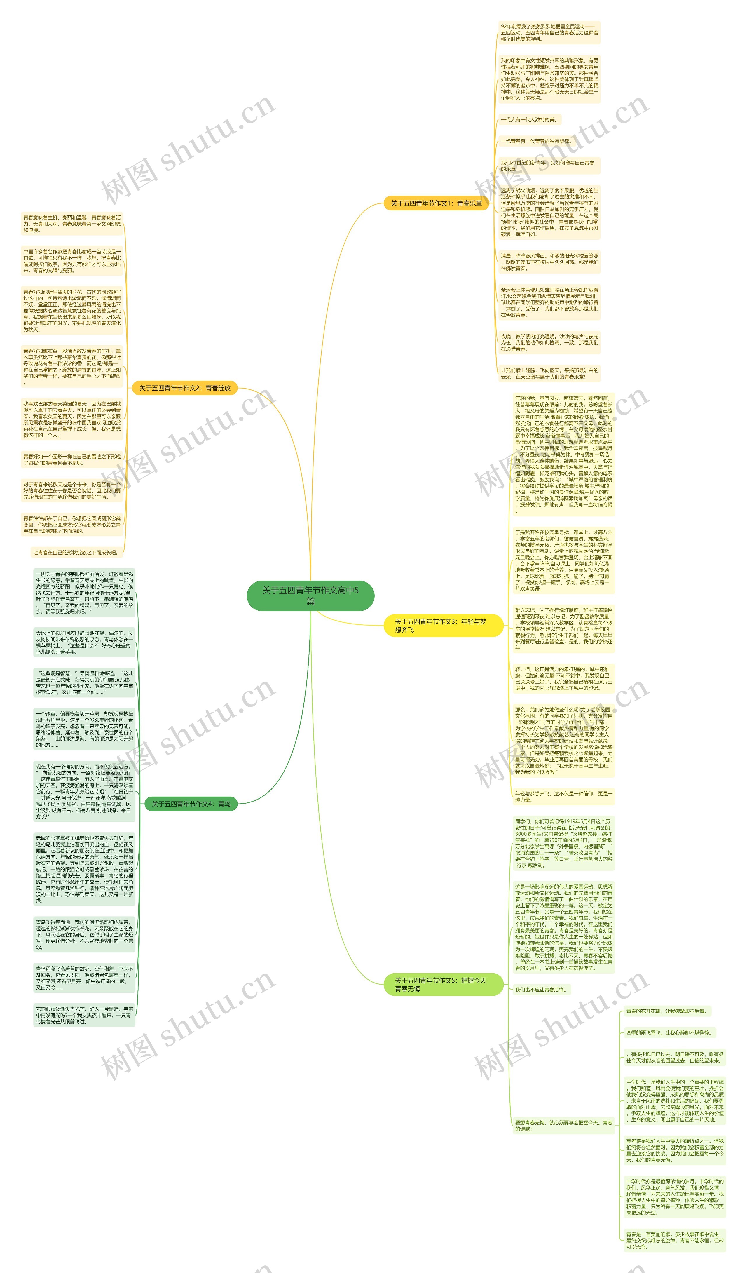 关于五四青年节作文高中5篇思维导图