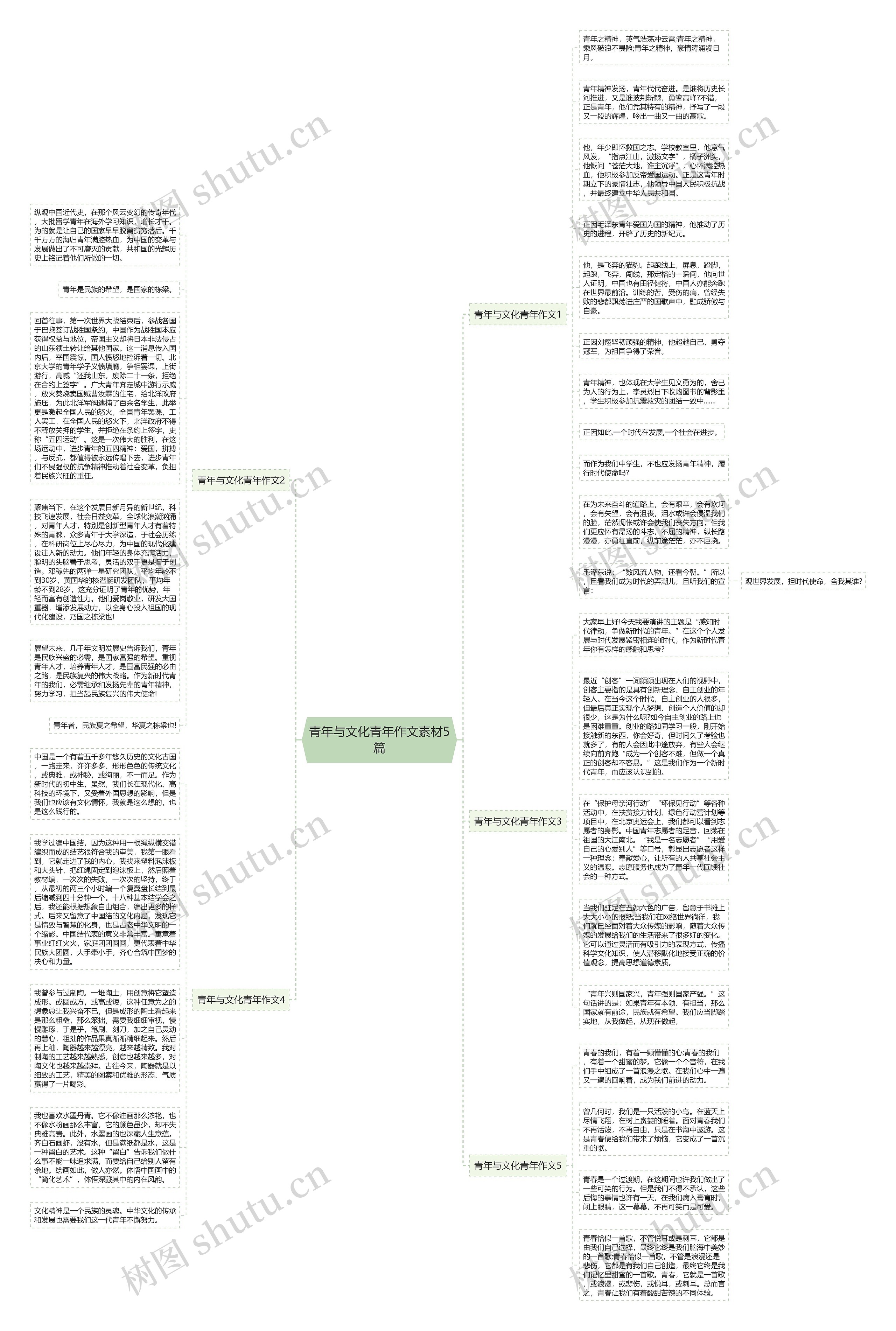 青年与文化青年作文素材5篇思维导图