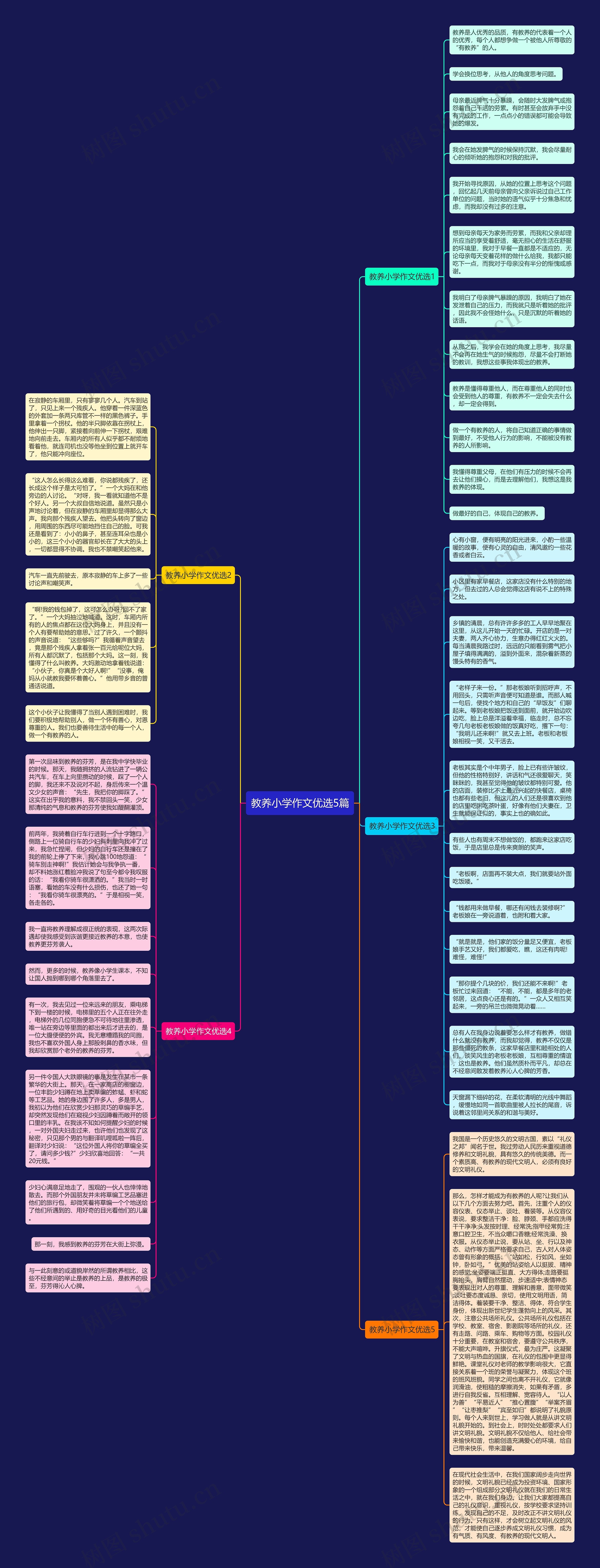 教养小学作文优选5篇思维导图