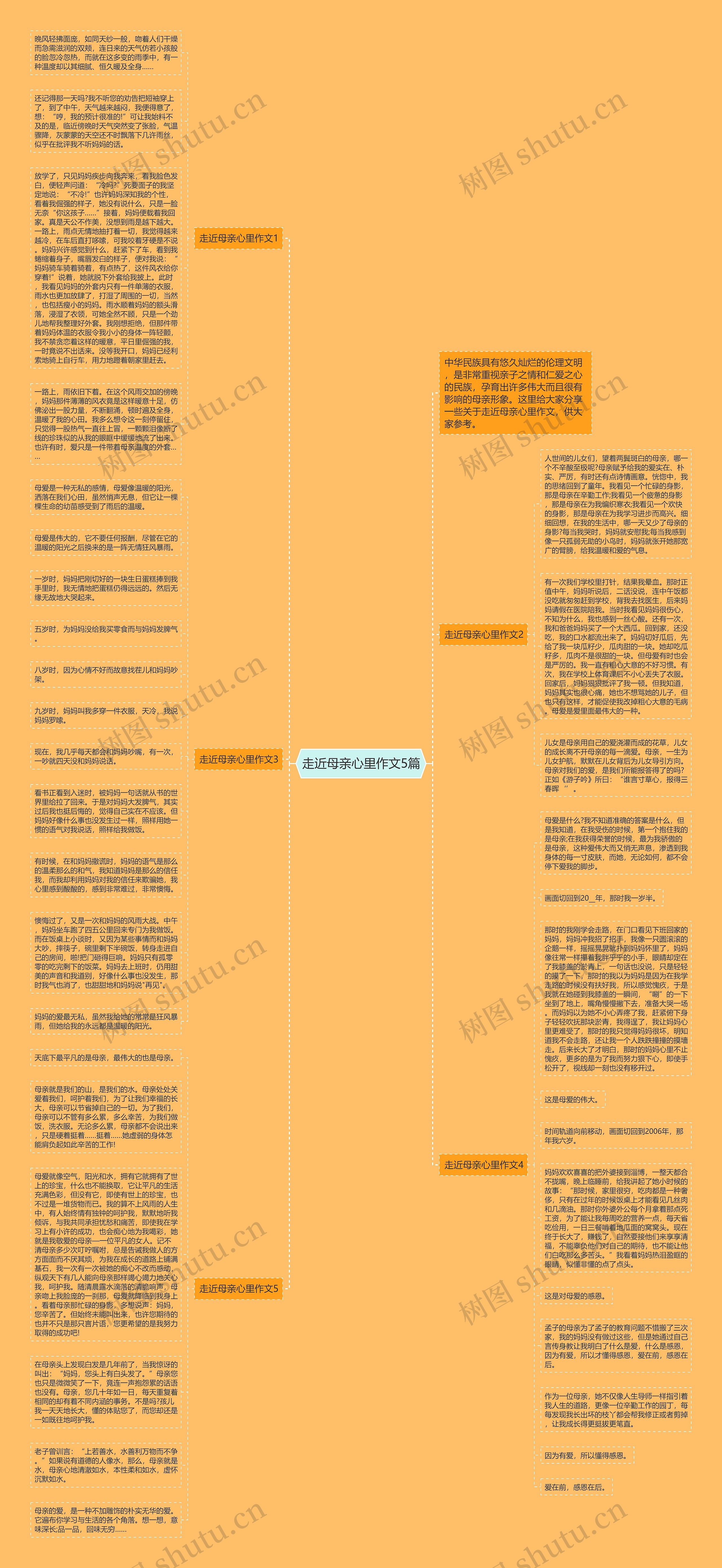 走近母亲心里作文5篇思维导图