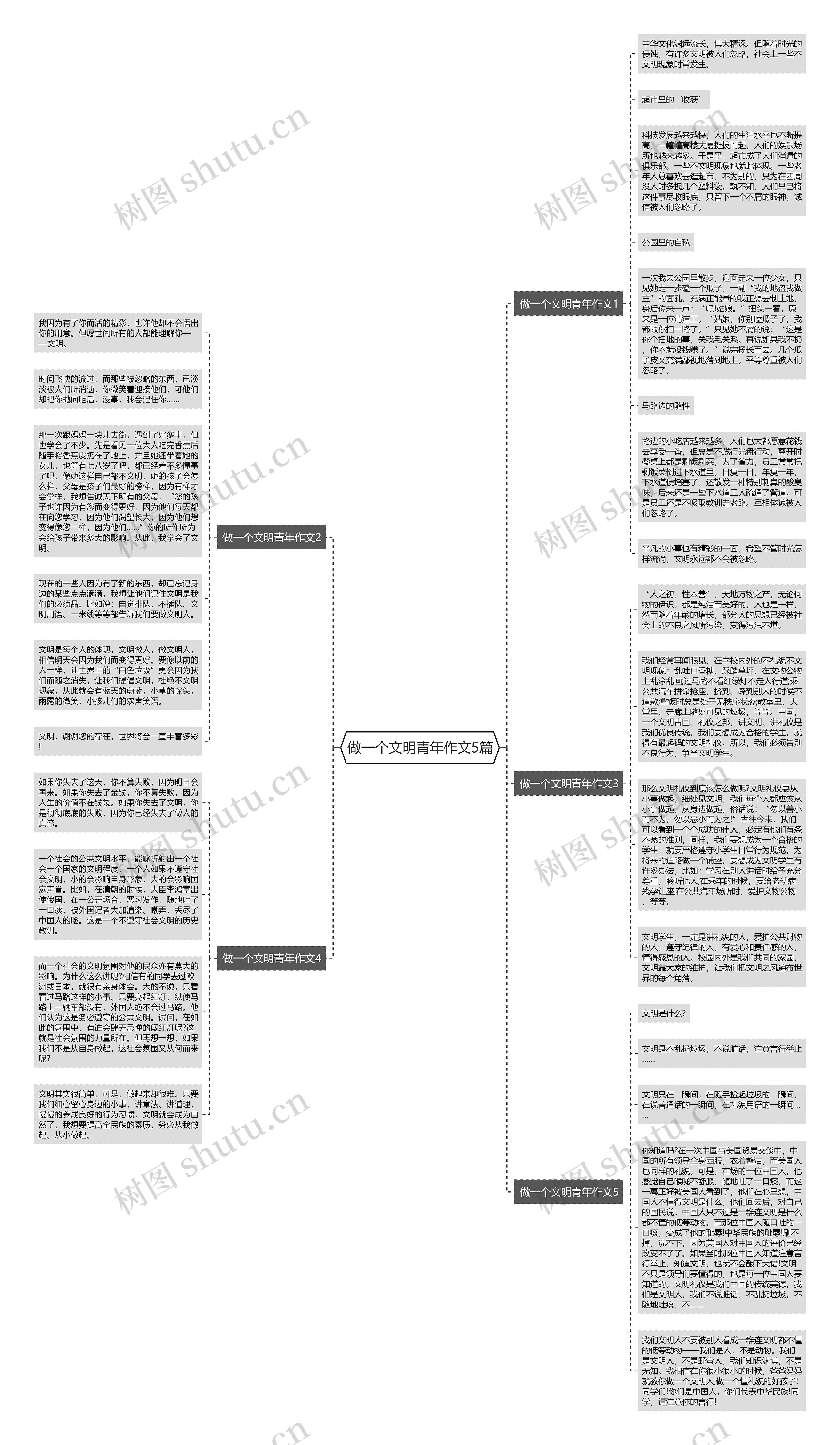 做一个文明青年作文5篇思维导图