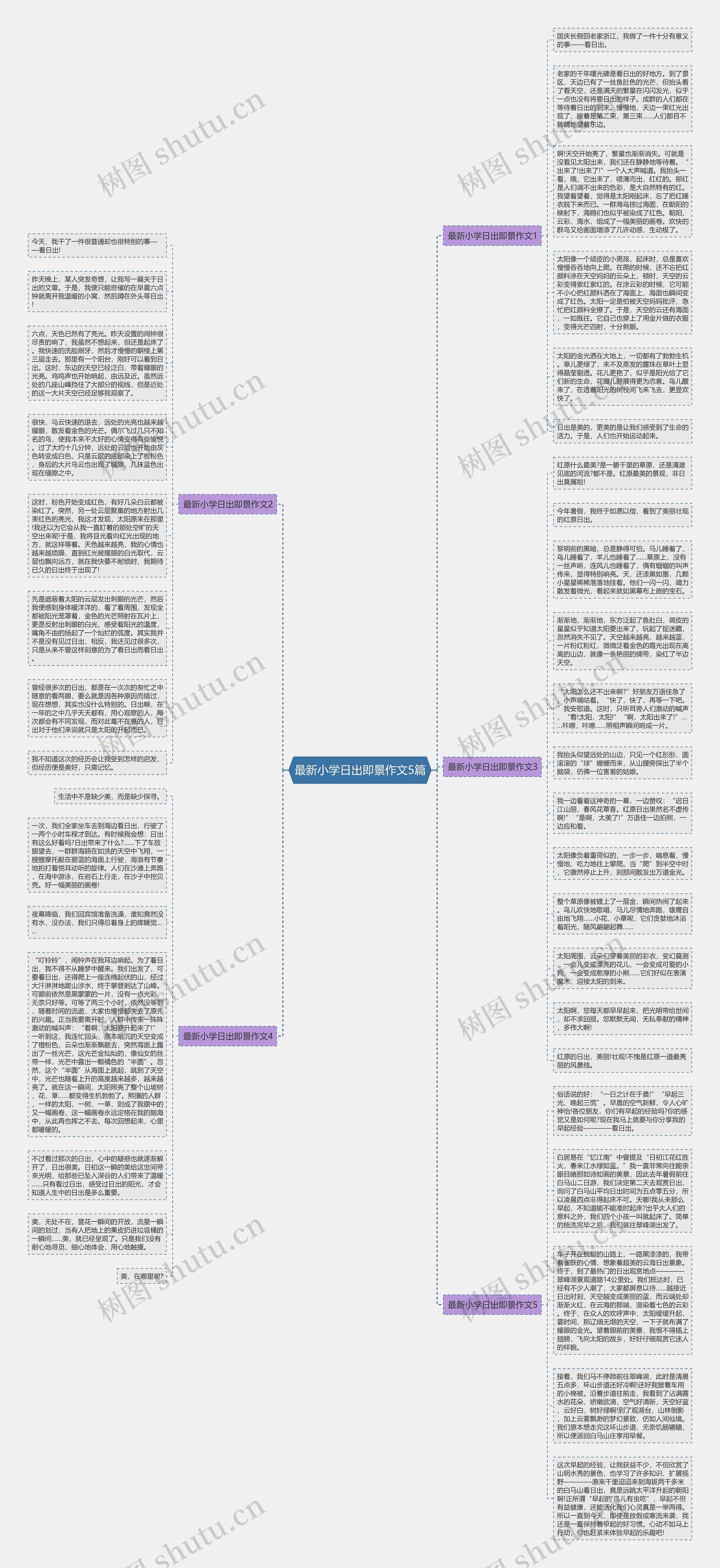 最新小学日出即景作文5篇思维导图