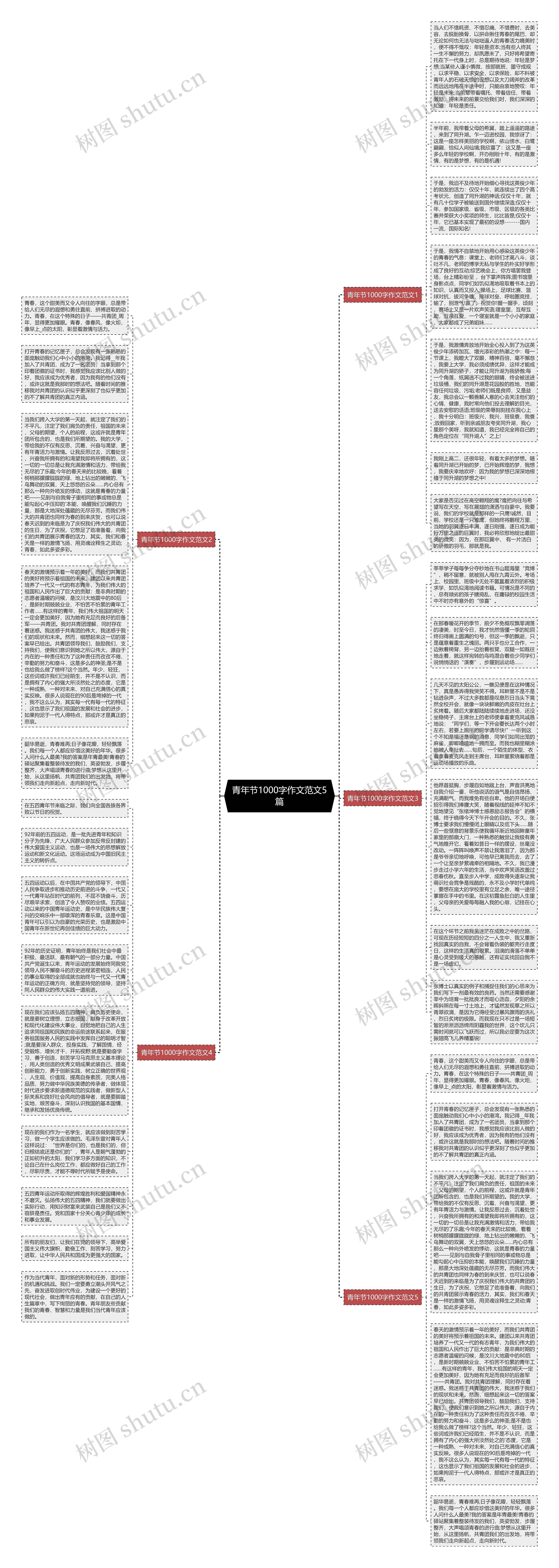 青年节1000字作文范文5篇思维导图