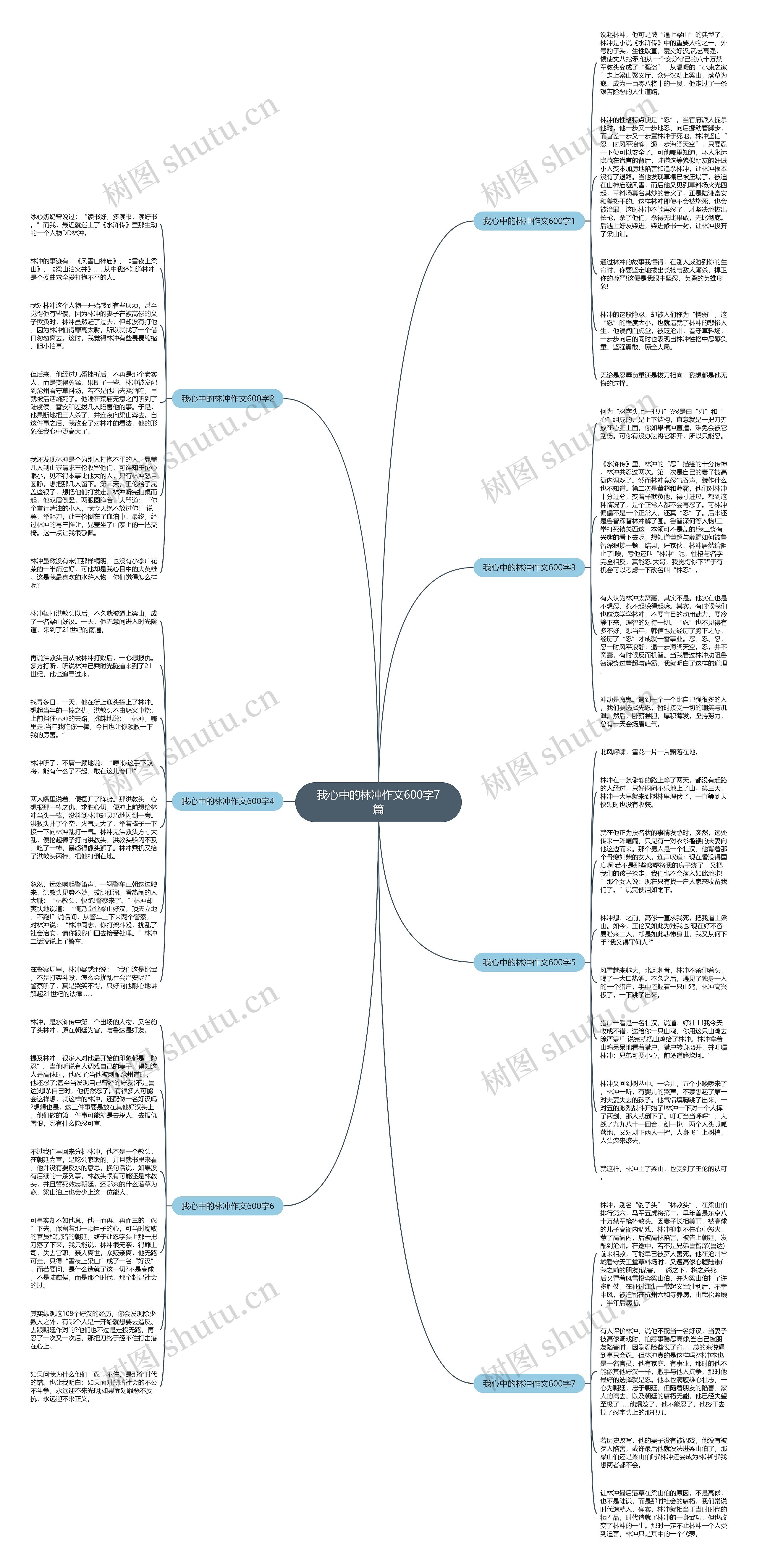 我心中的林冲作文600字7篇思维导图