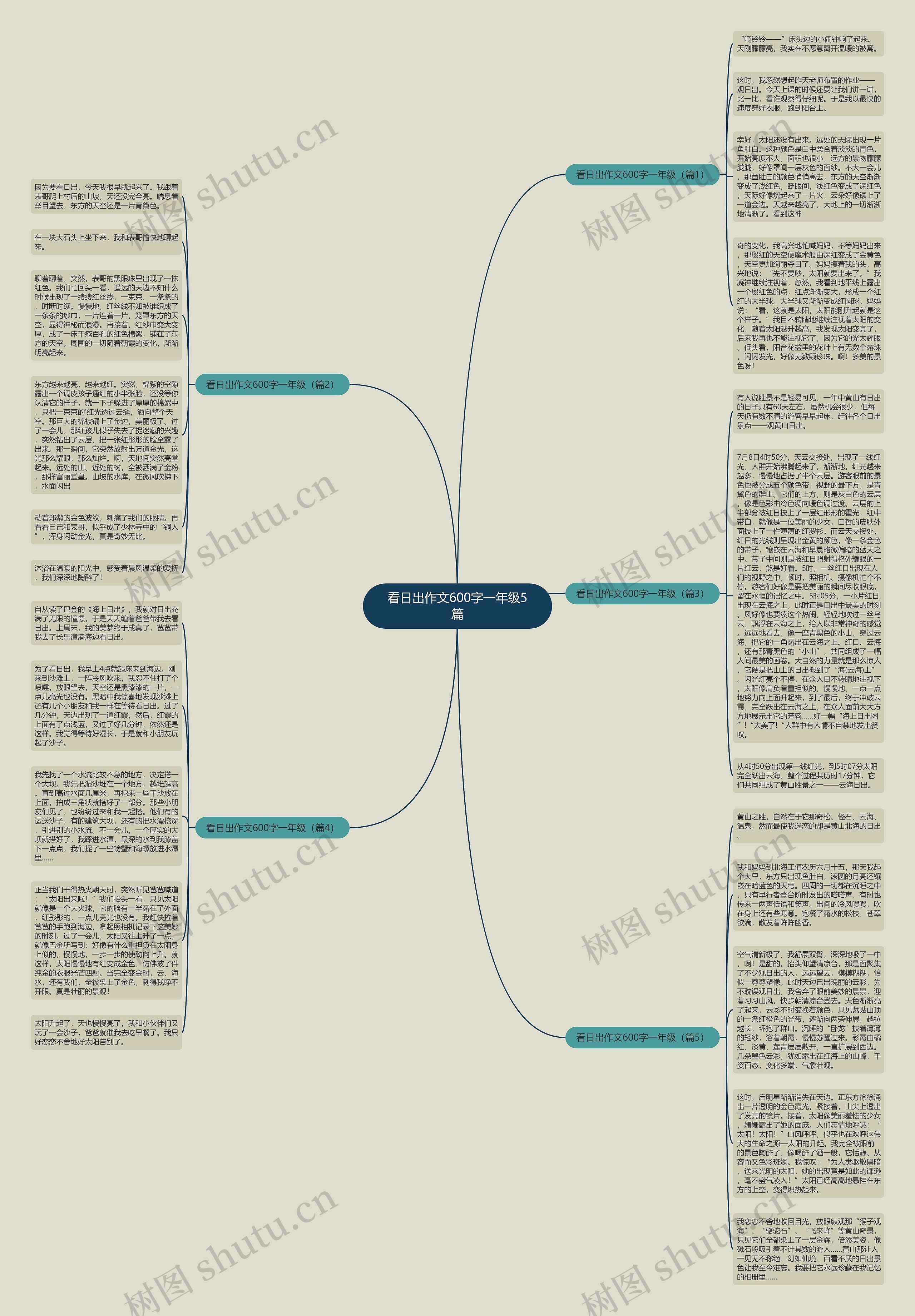 看日出作文600字一年级5篇思维导图