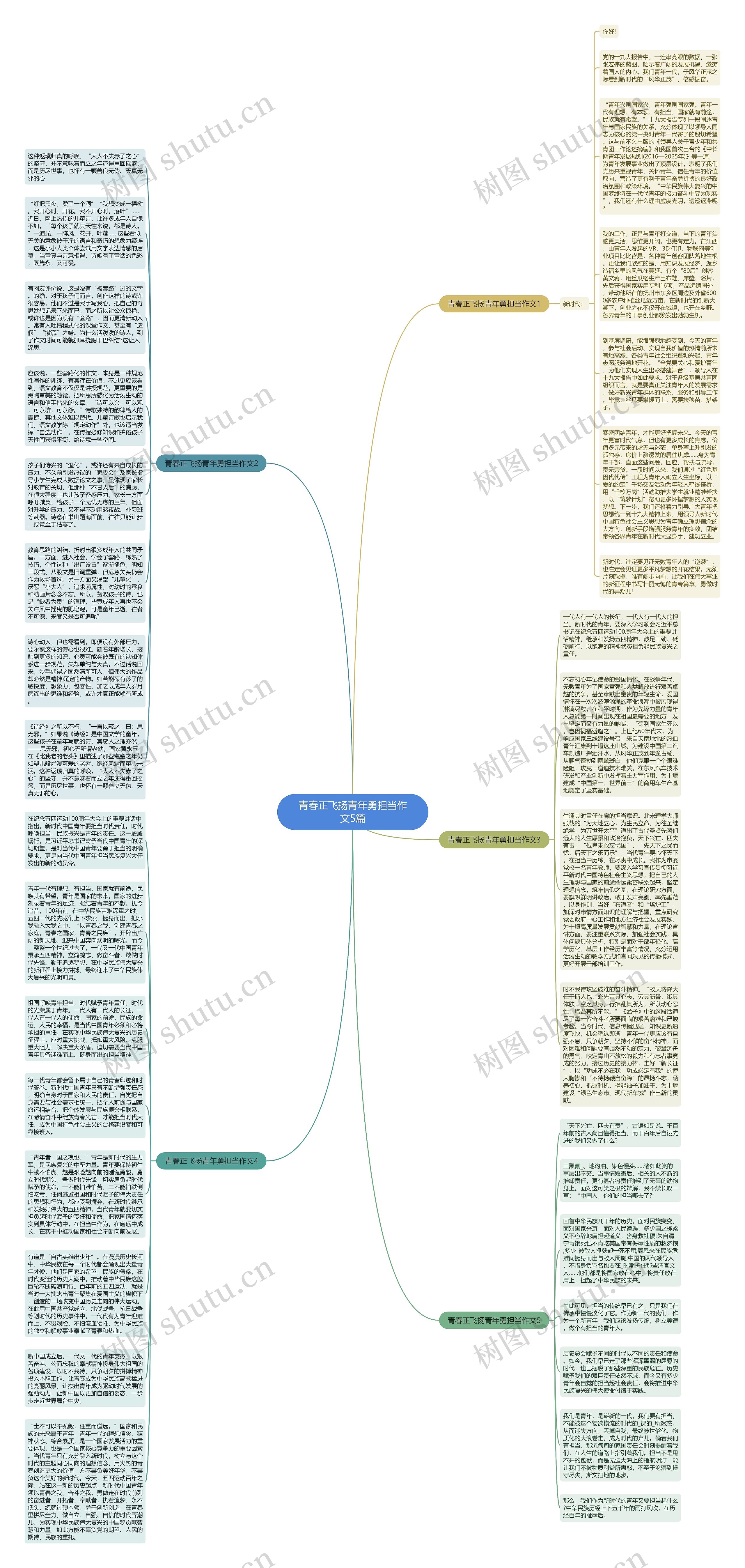 青春正飞扬青年勇担当作文5篇思维导图