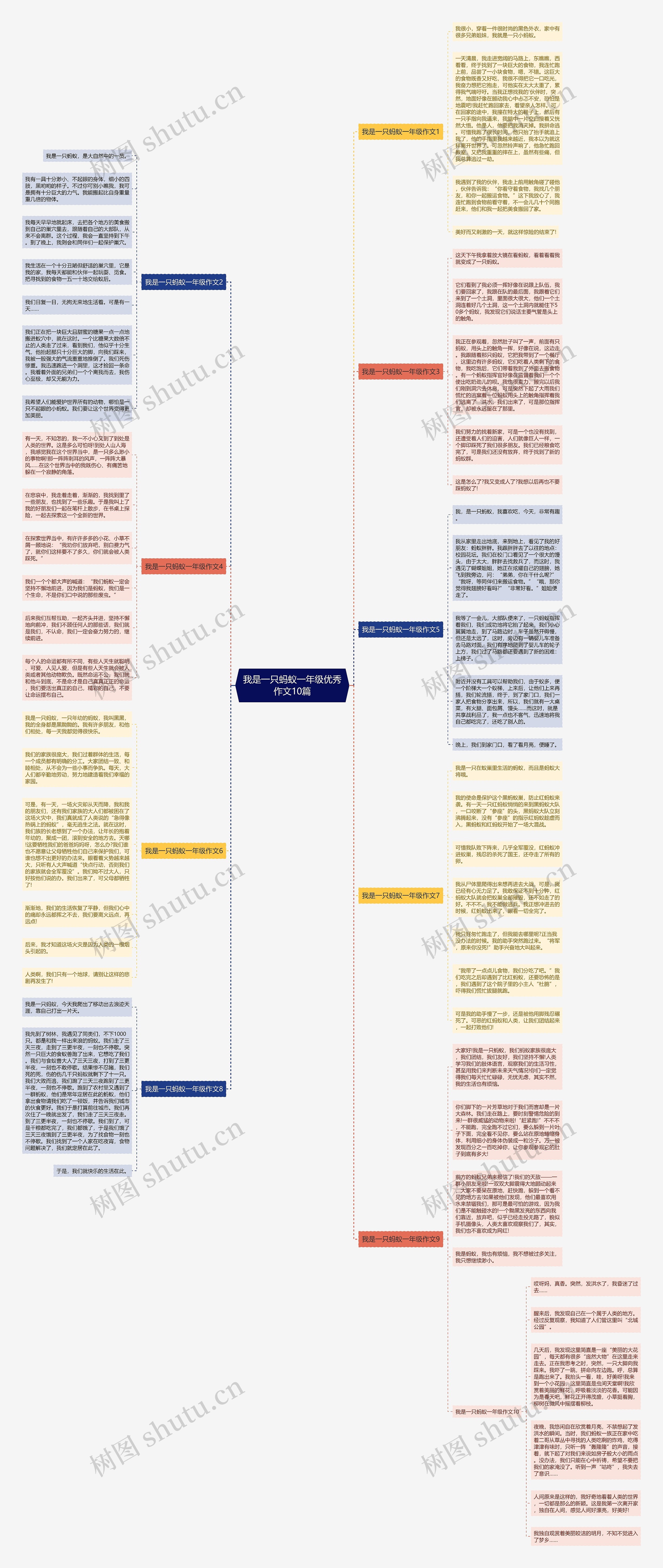 我是一只蚂蚁一年级优秀作文10篇思维导图