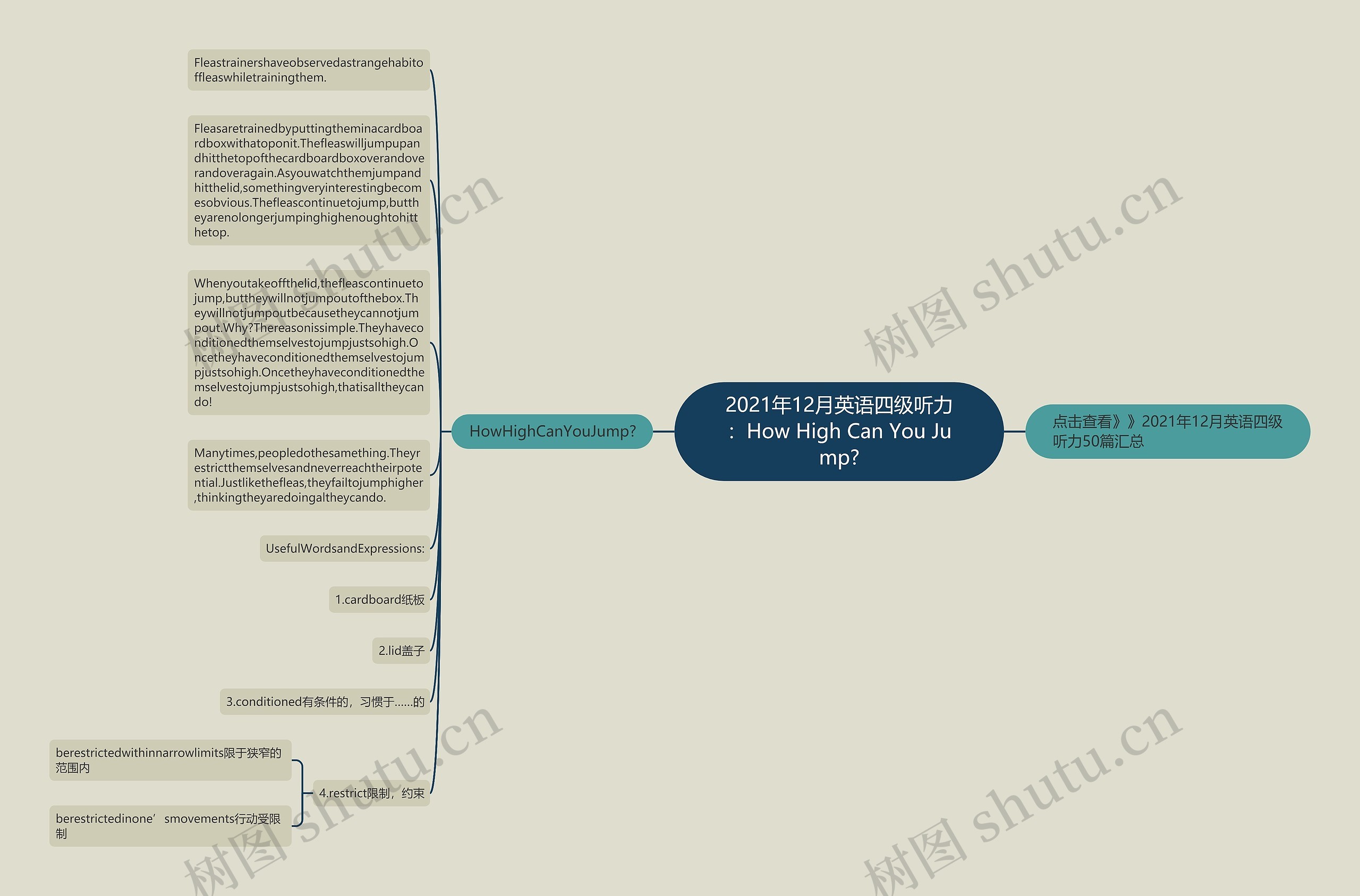 2021年12月英语四级听力：How High Can You Jump?思维导图
