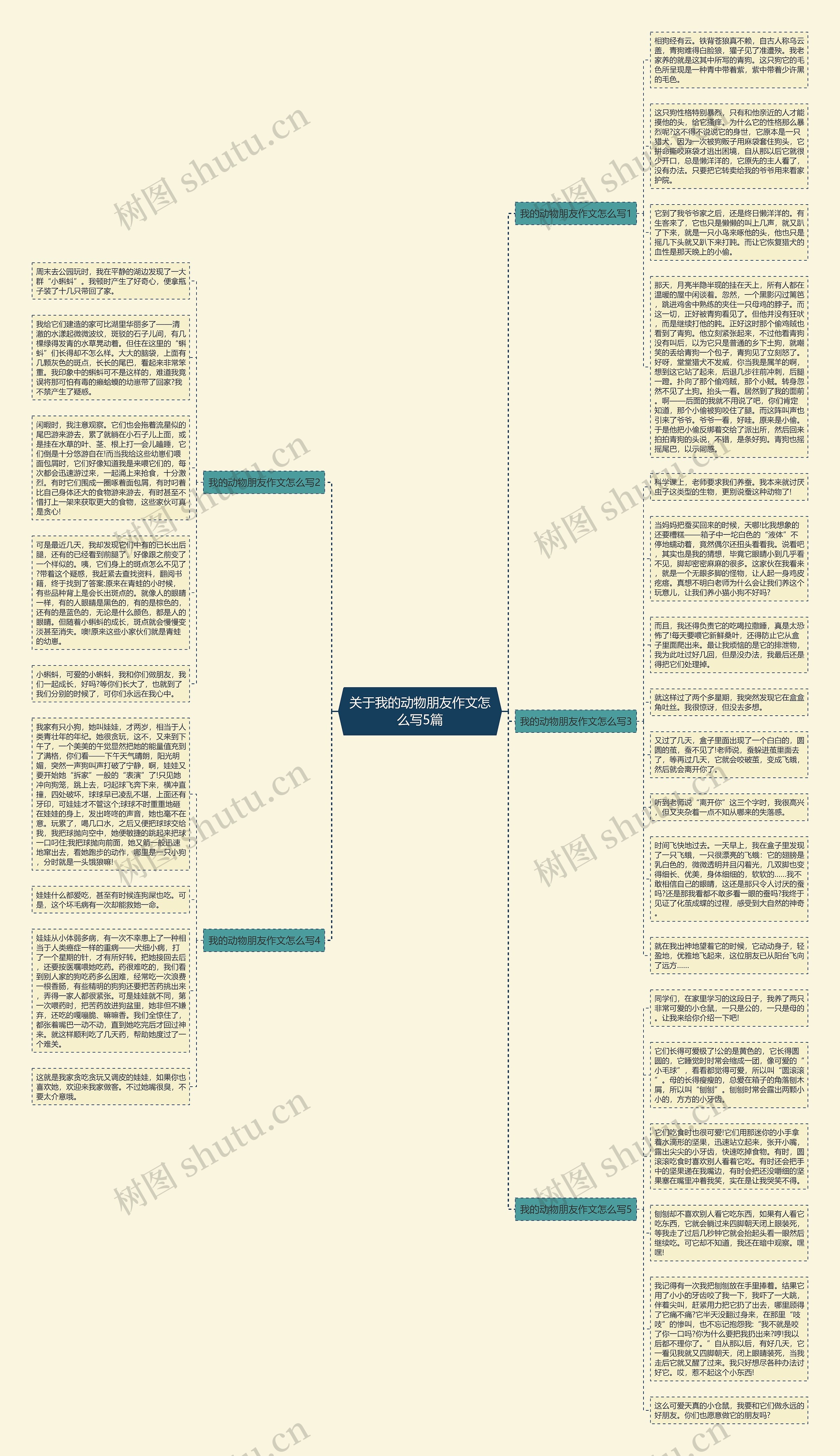 关于我的动物朋友作文怎么写5篇思维导图
