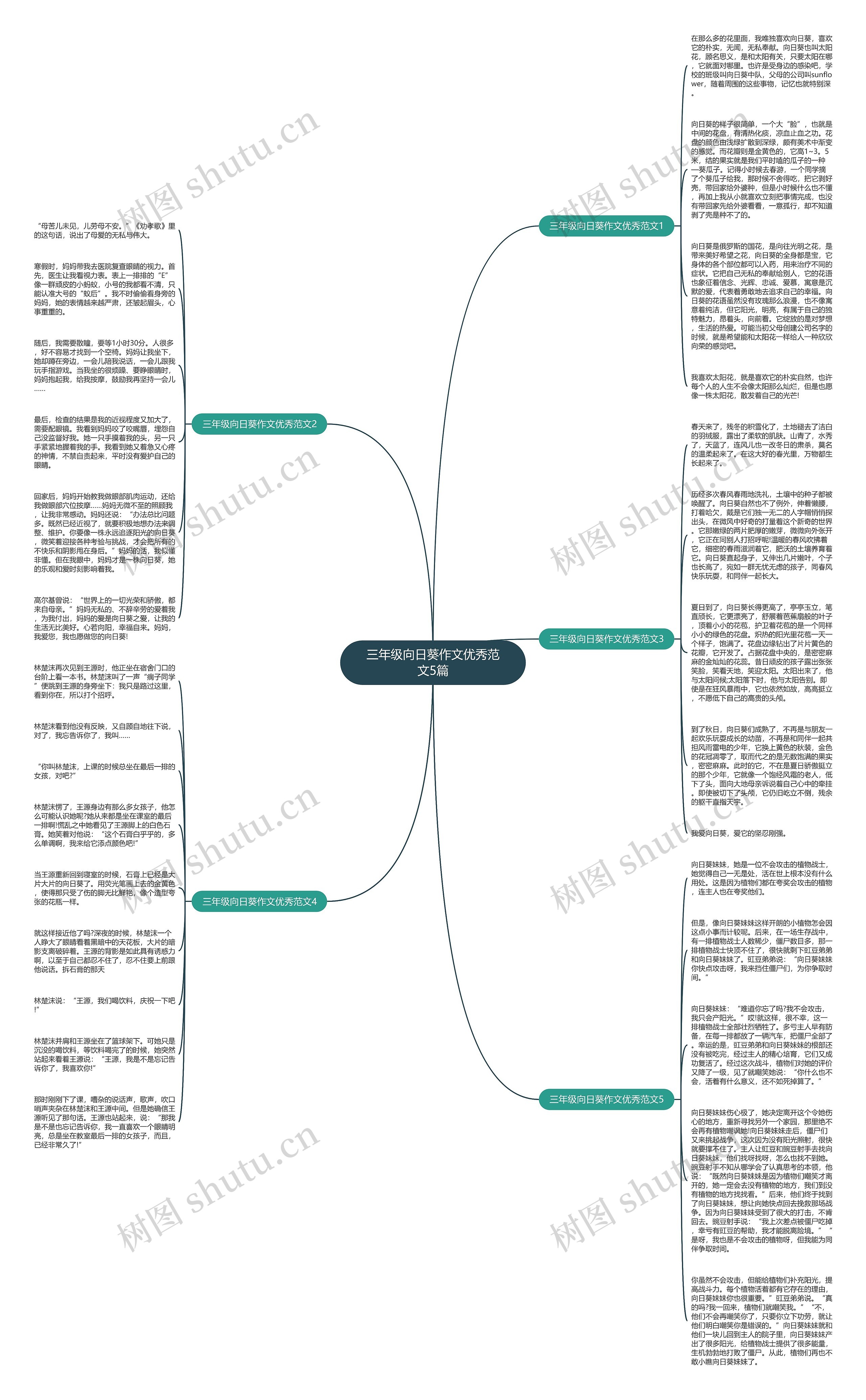 三年级向日葵作文优秀范文5篇思维导图