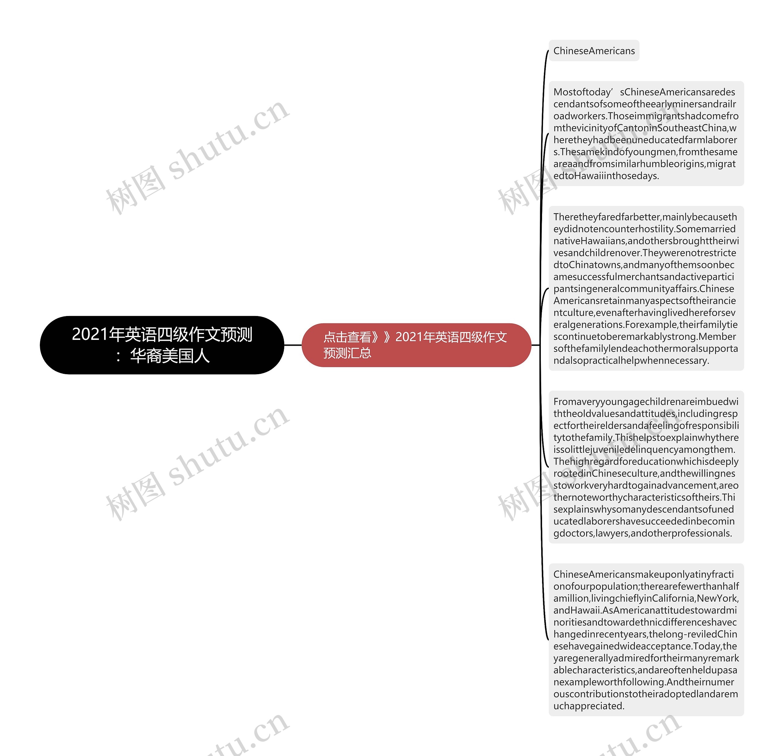 2021年英语四级作文预测：华裔美国人思维导图