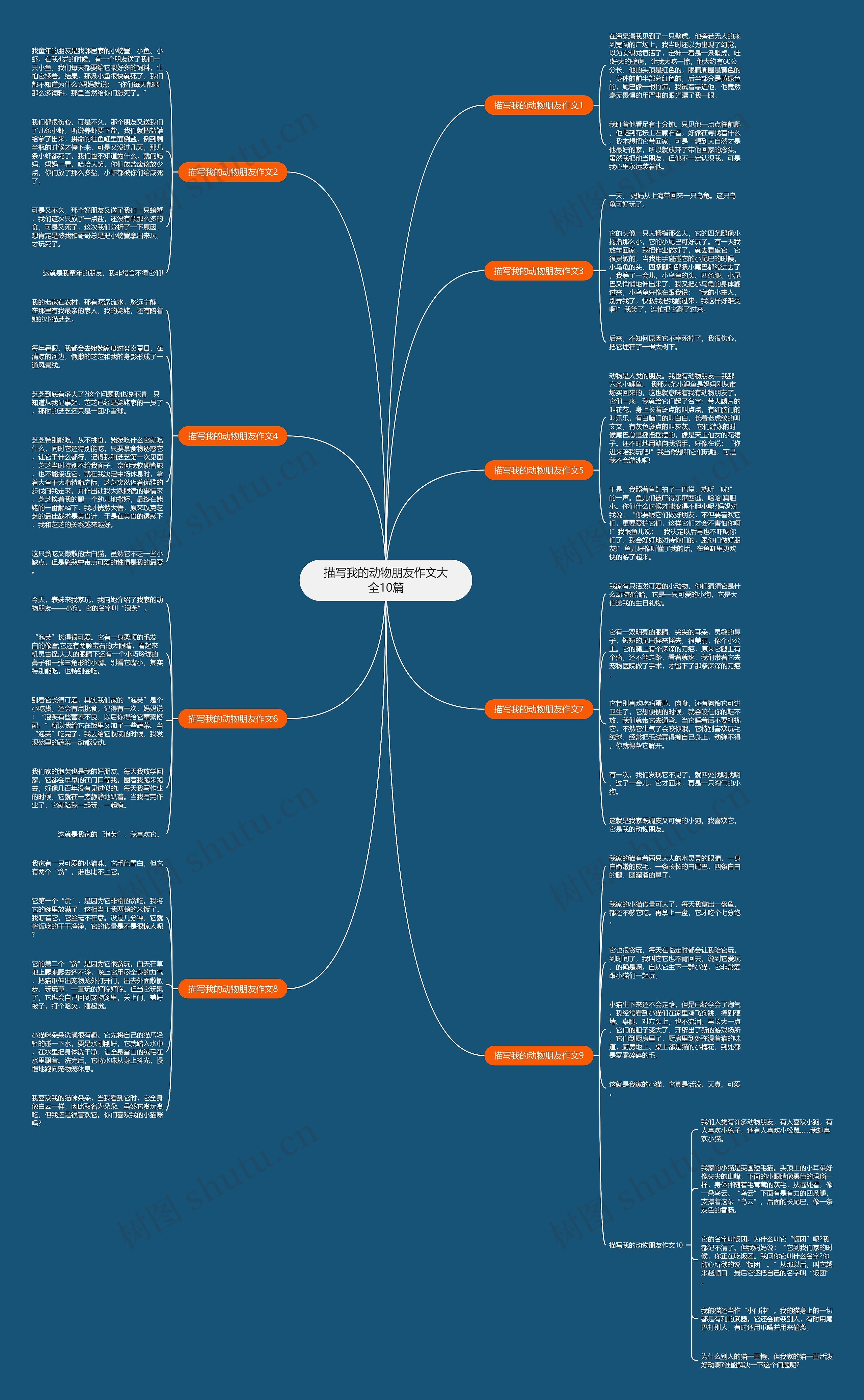 描写我的动物朋友作文大全10篇思维导图