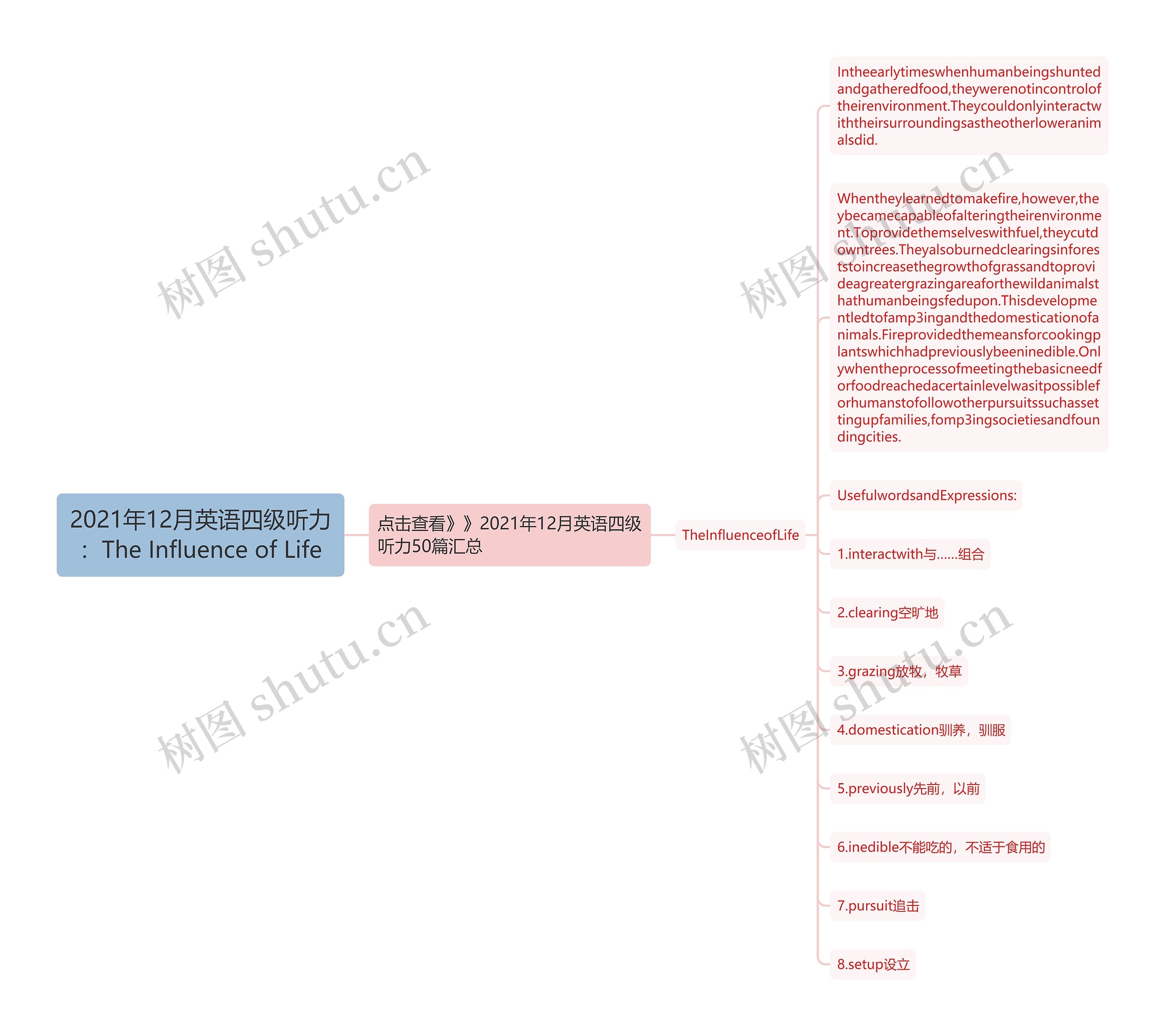 2021年12月英语四级听力：The Influence of Life思维导图