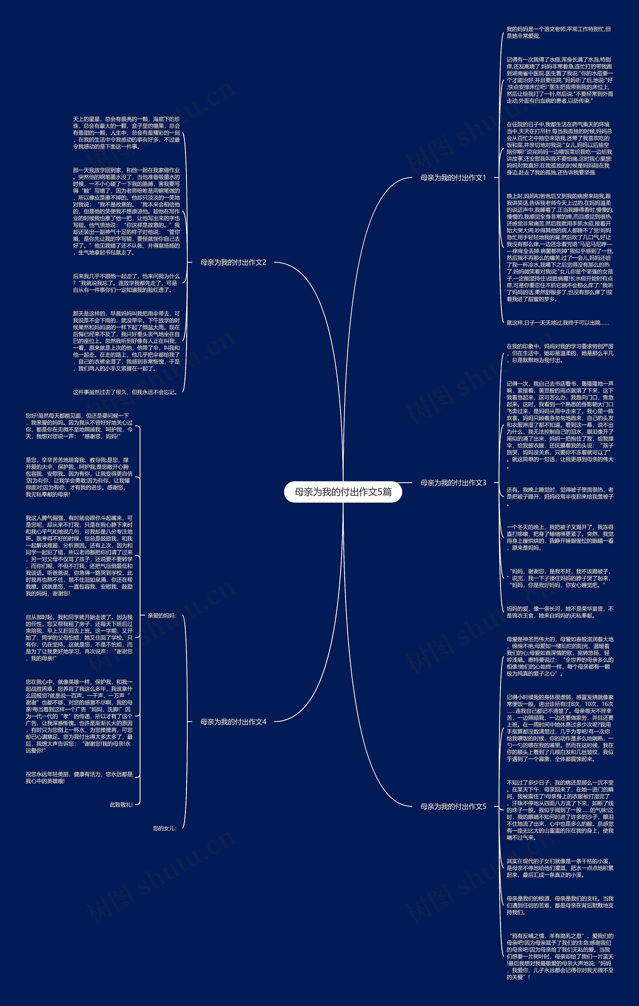母亲为我的付出作文5篇思维导图
