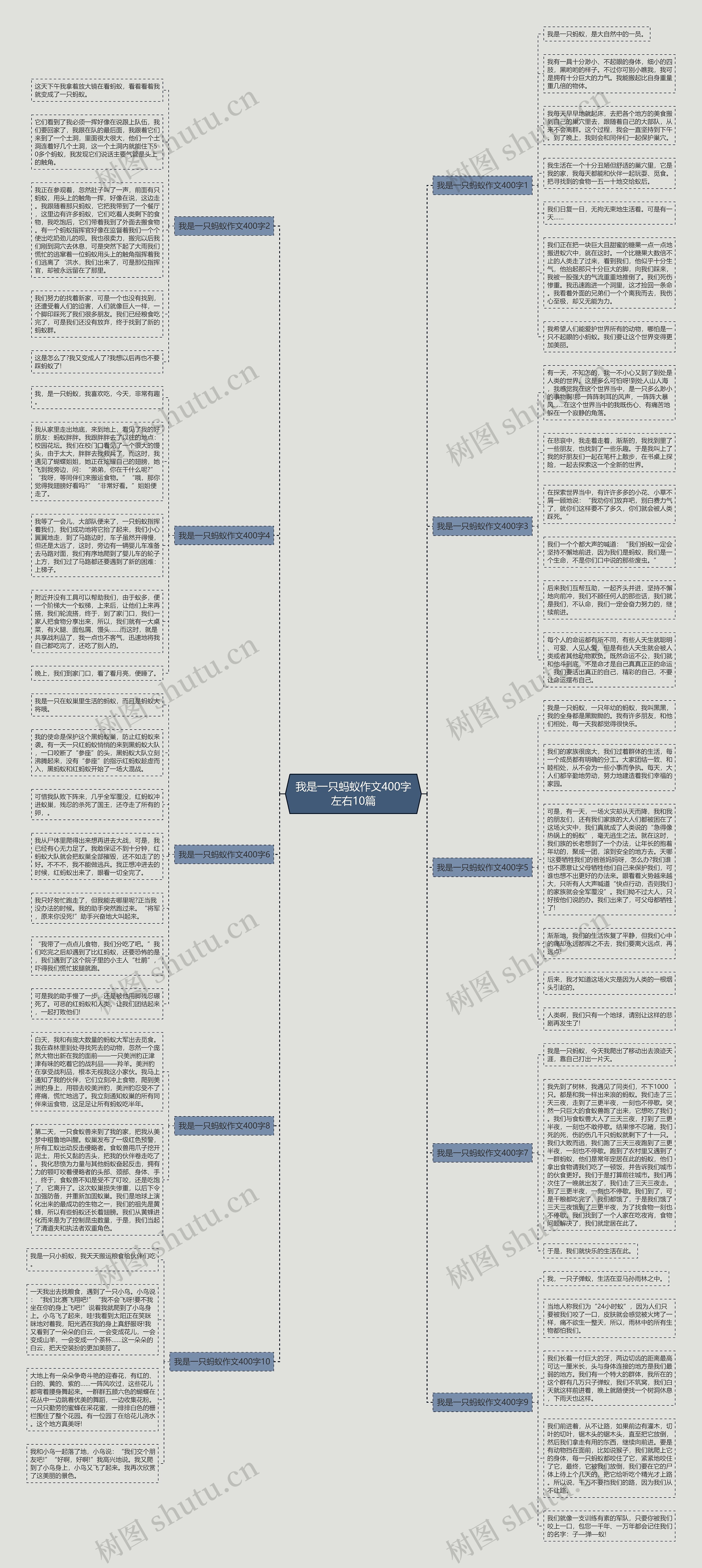 我是一只蚂蚁作文400字左右10篇思维导图
