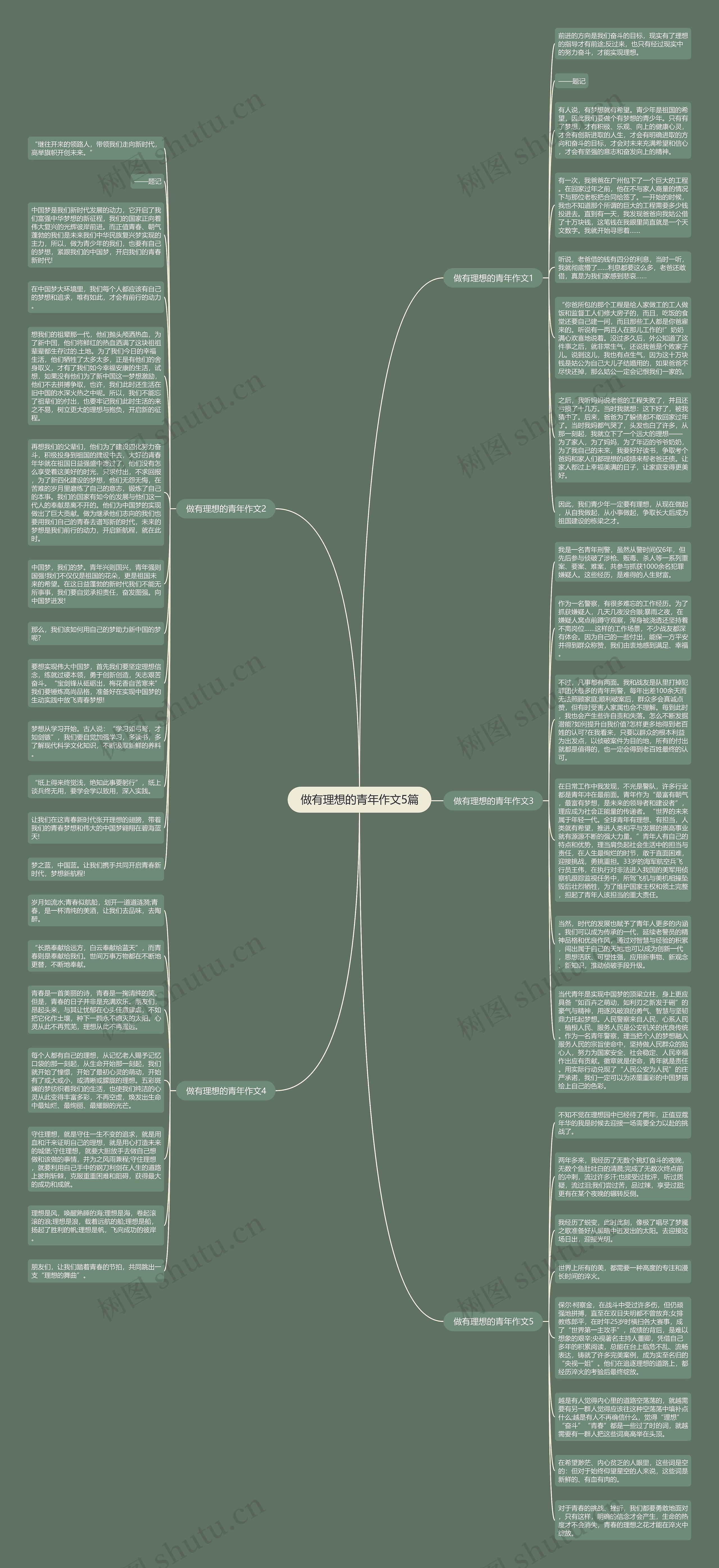 做有理想的青年作文5篇思维导图