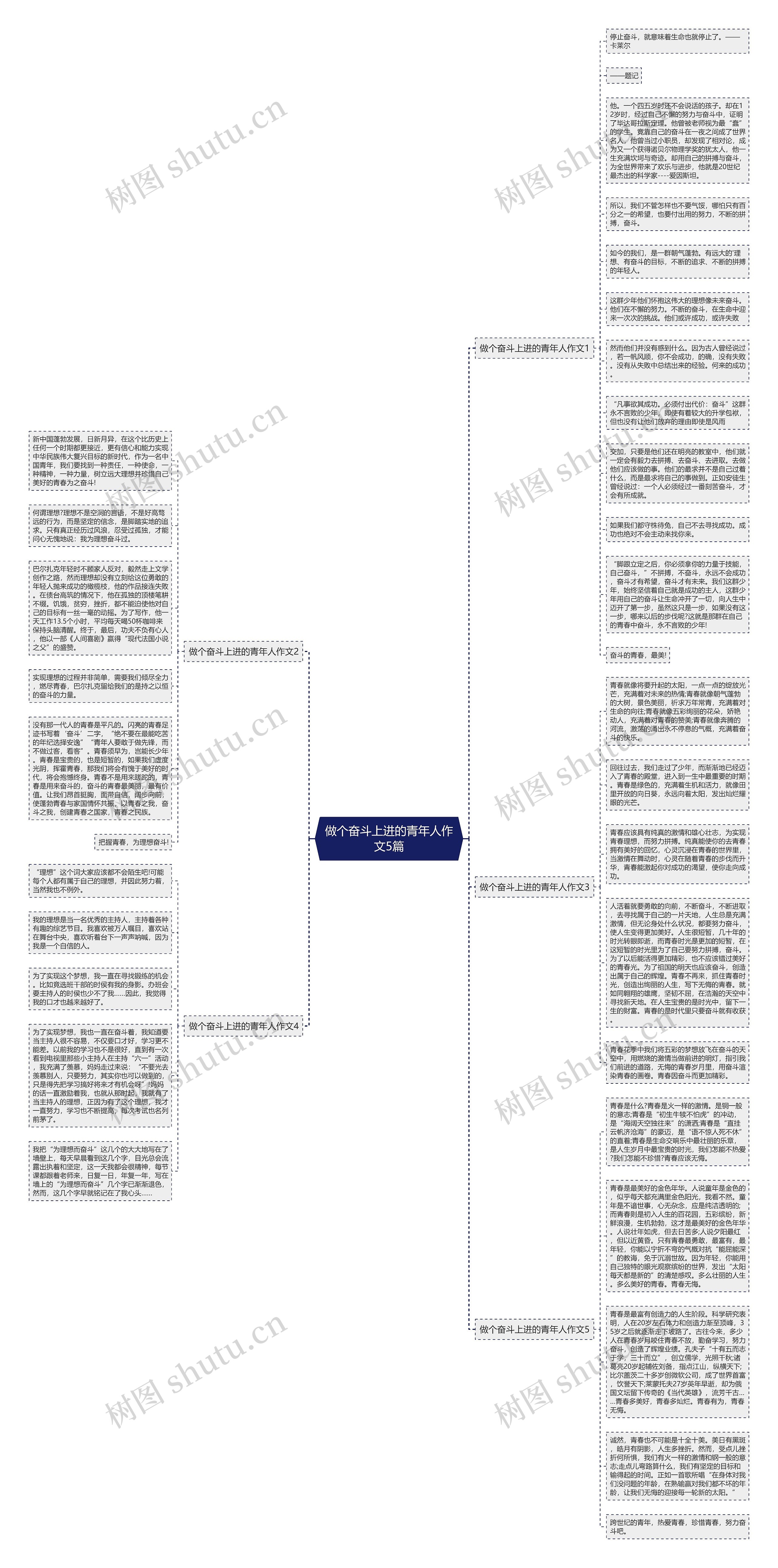 做个奋斗上进的青年人作文5篇思维导图