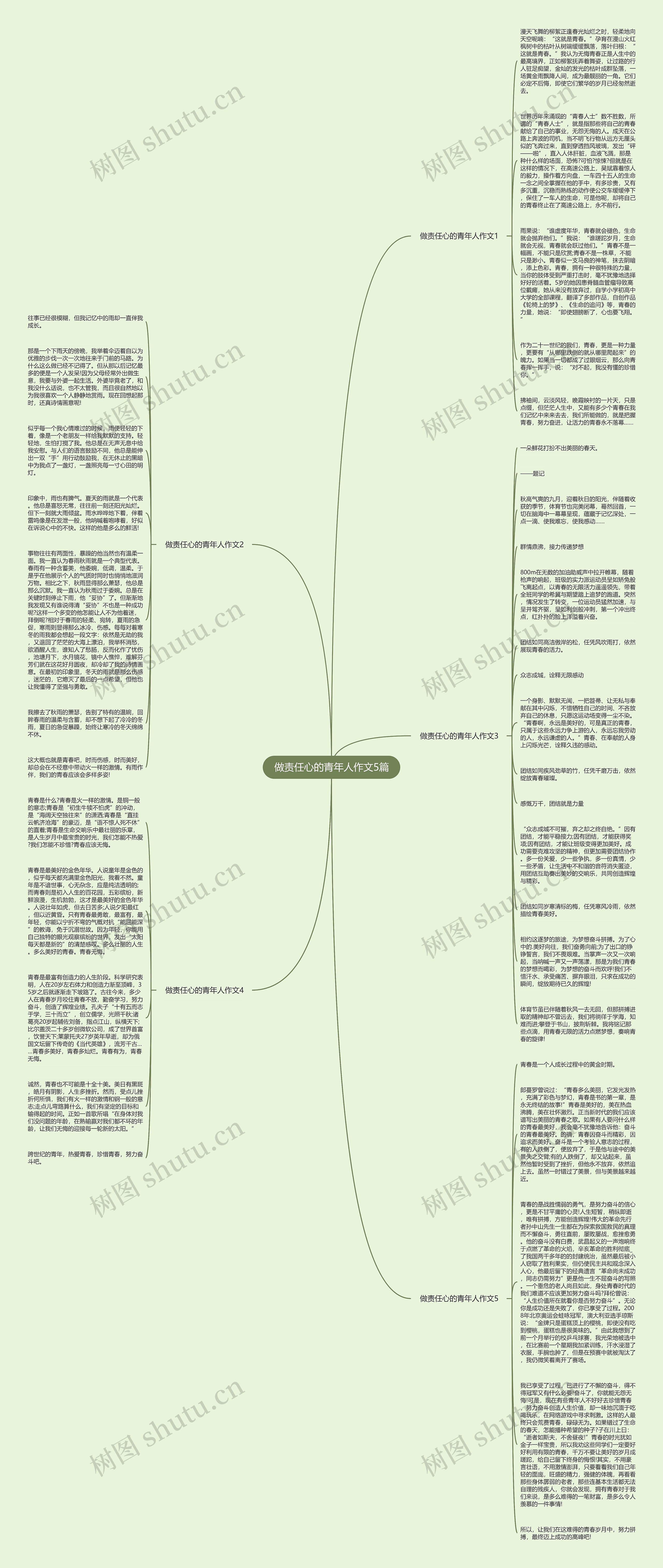 做责任心的青年人作文5篇思维导图