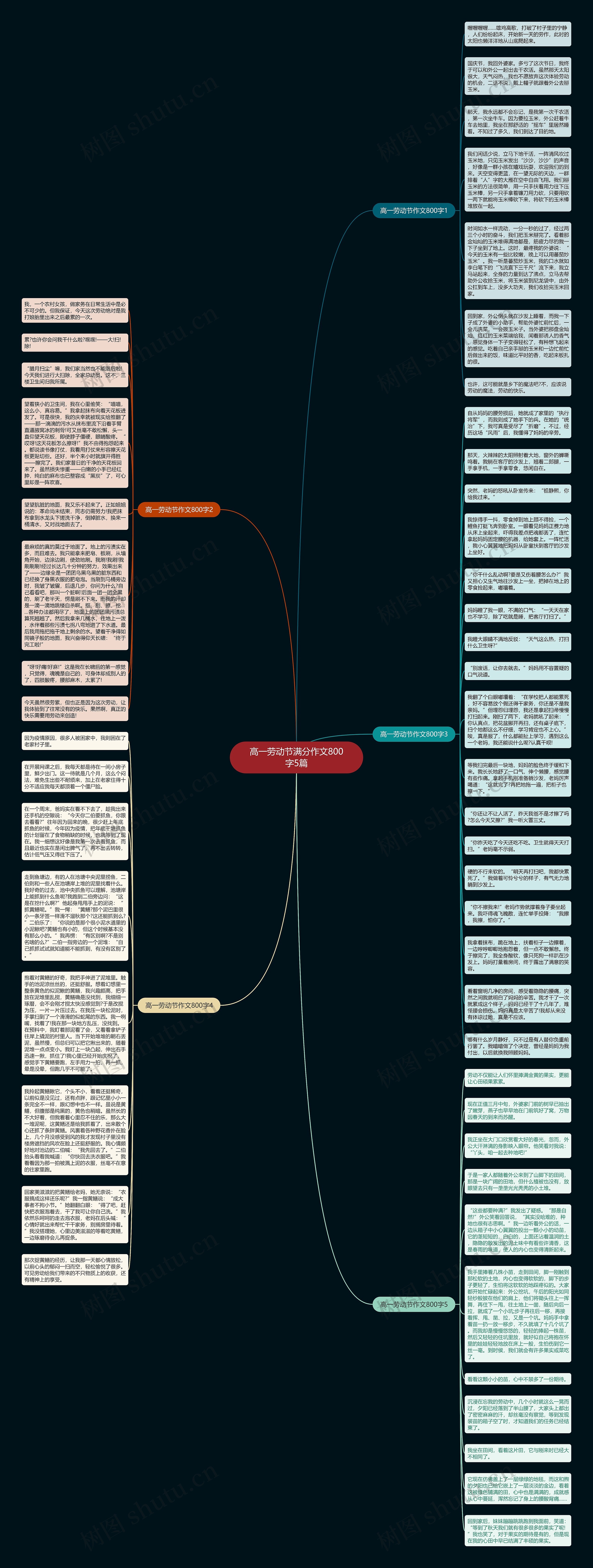 高一劳动节满分作文800字5篇思维导图
