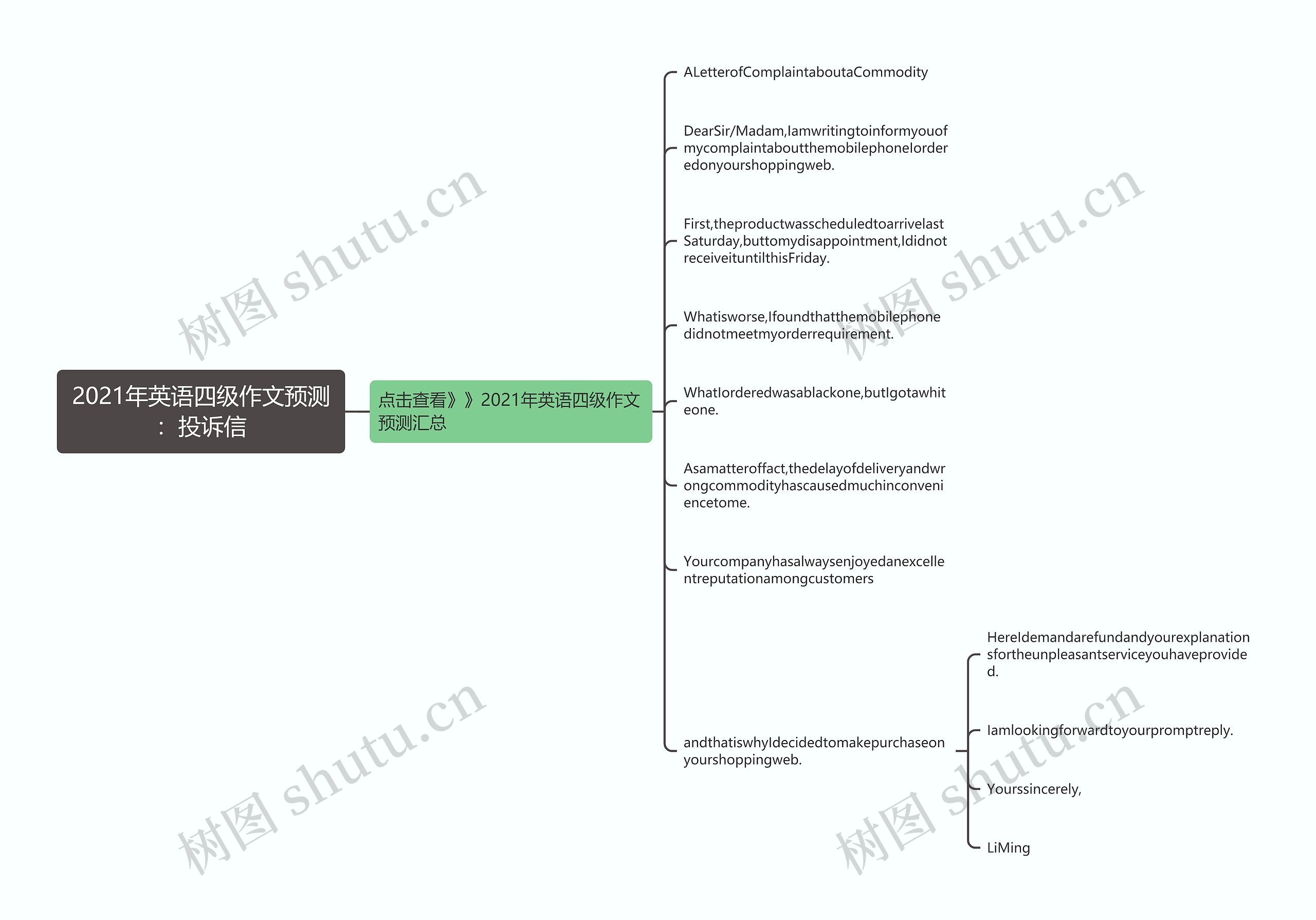 2021年英语四级作文预测：投诉信思维导图